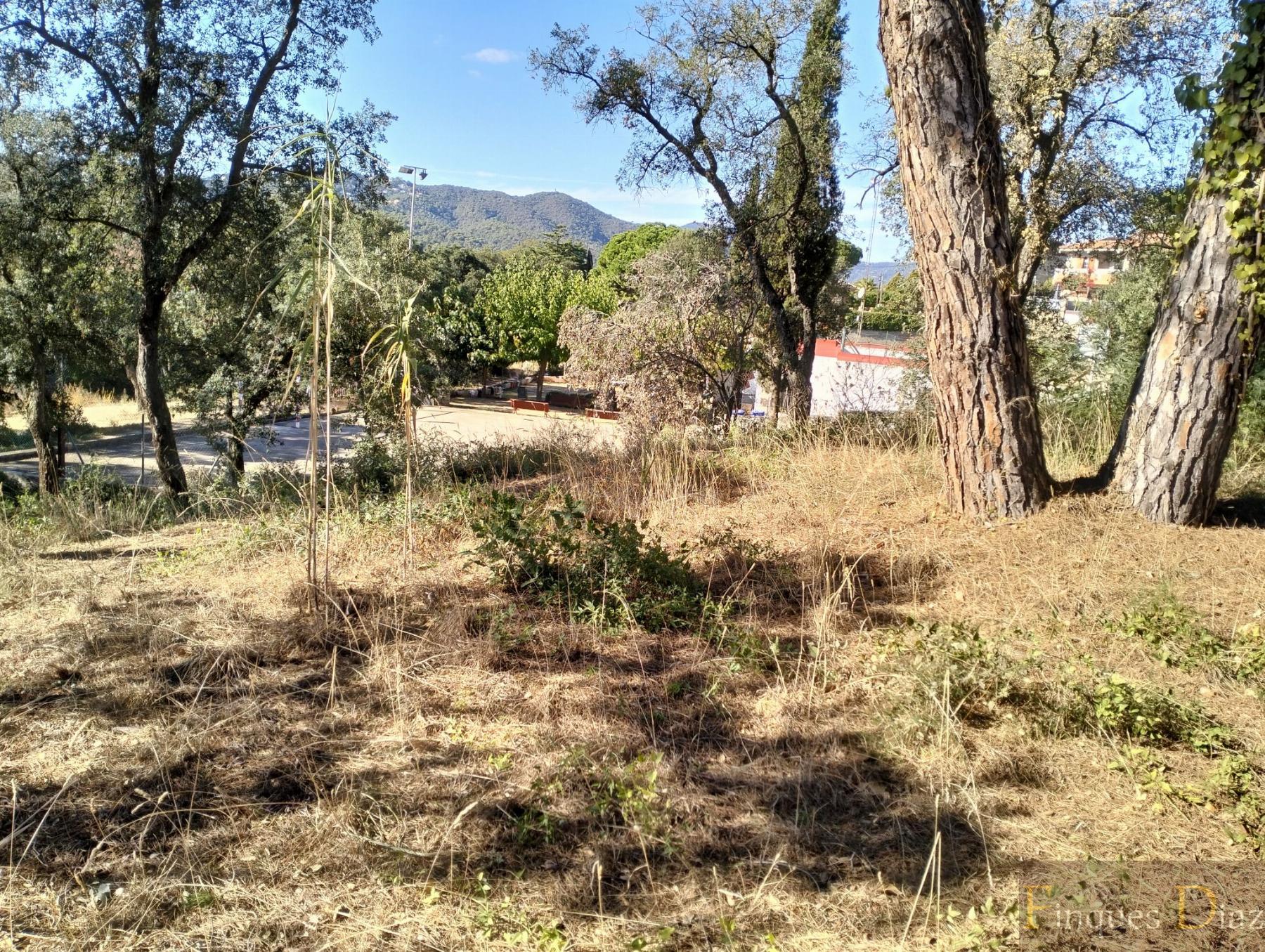 For sale of land in Palafolls