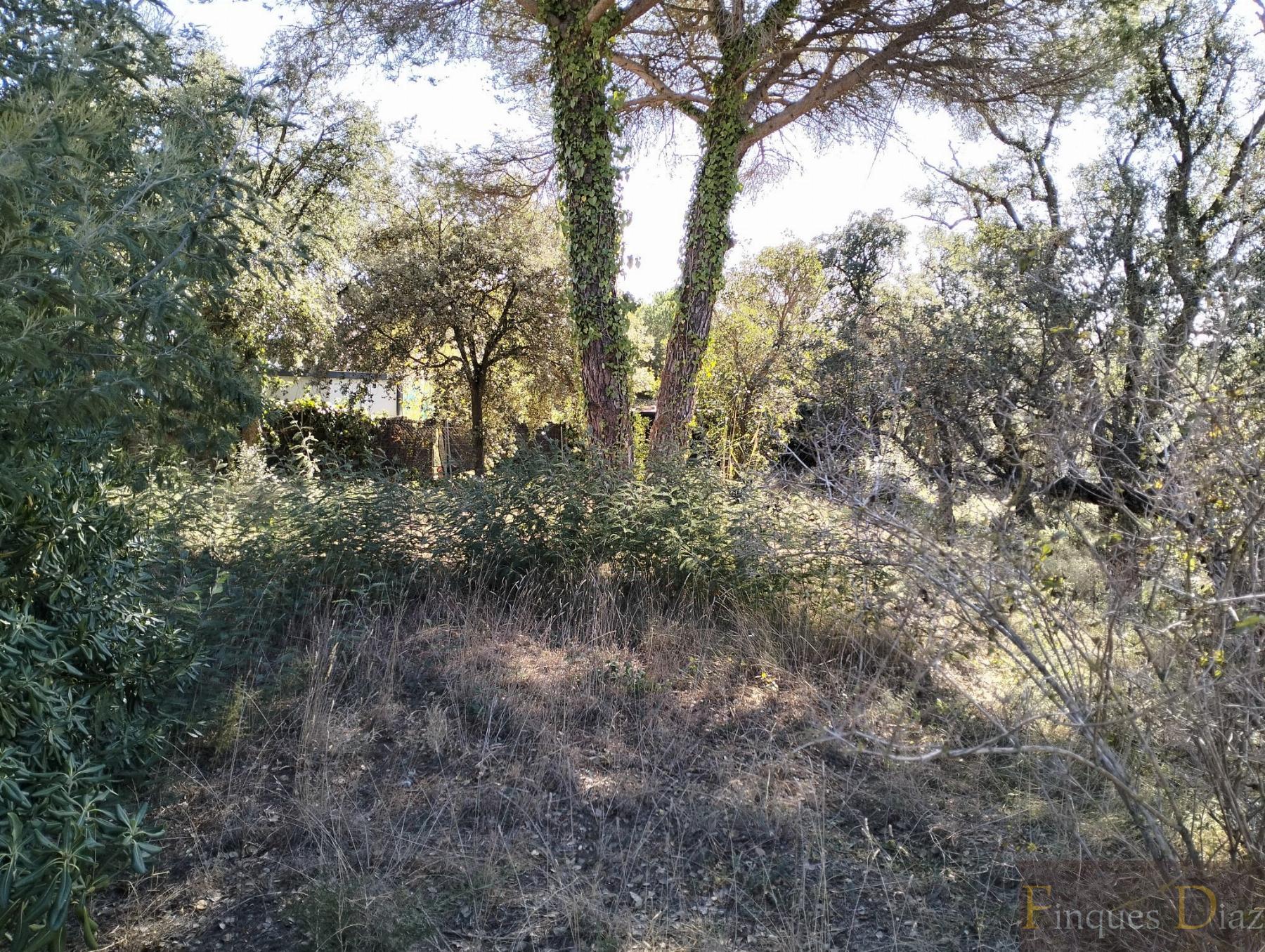 For sale of land in Palafolls