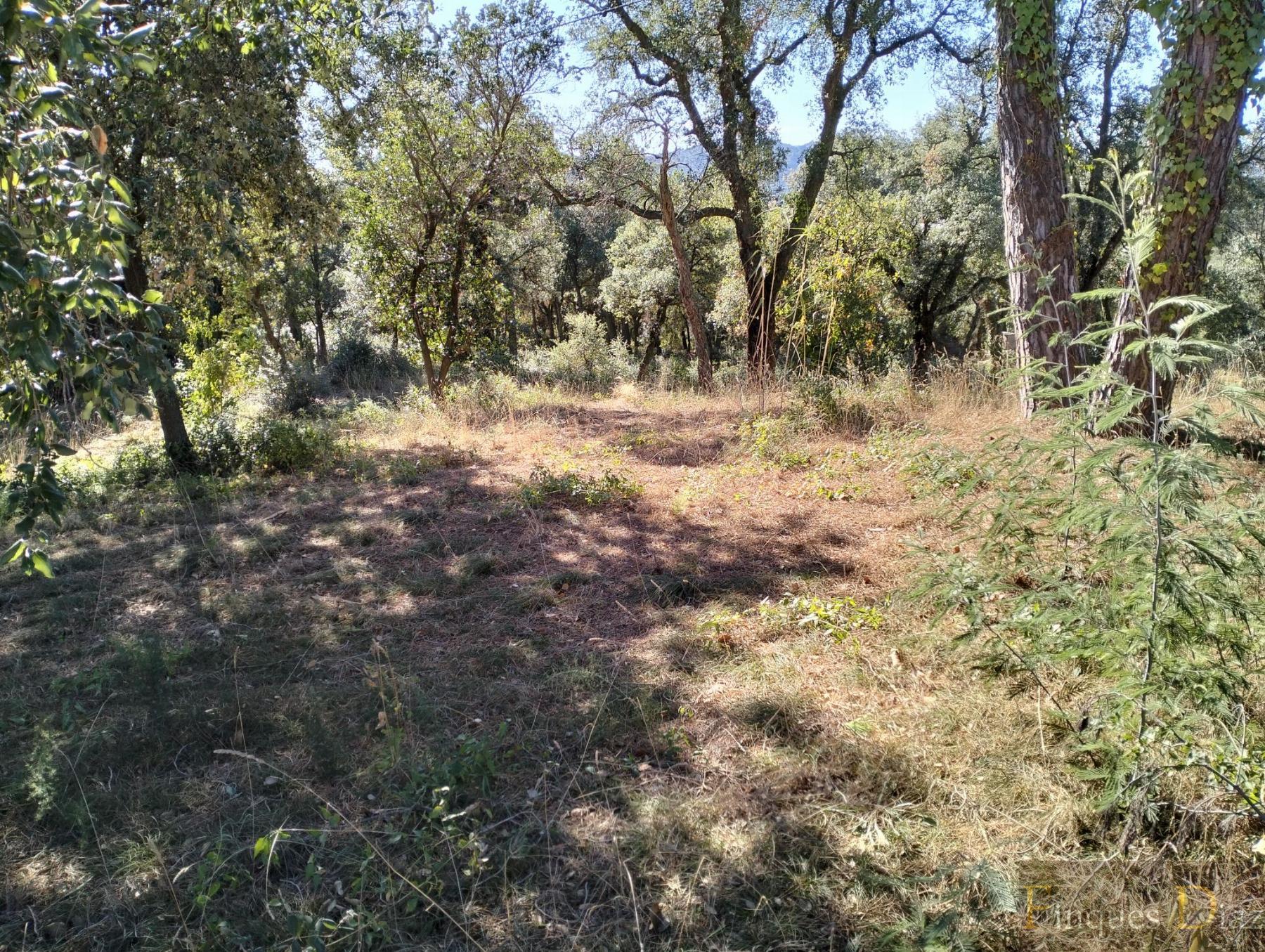 For sale of land in Palafolls