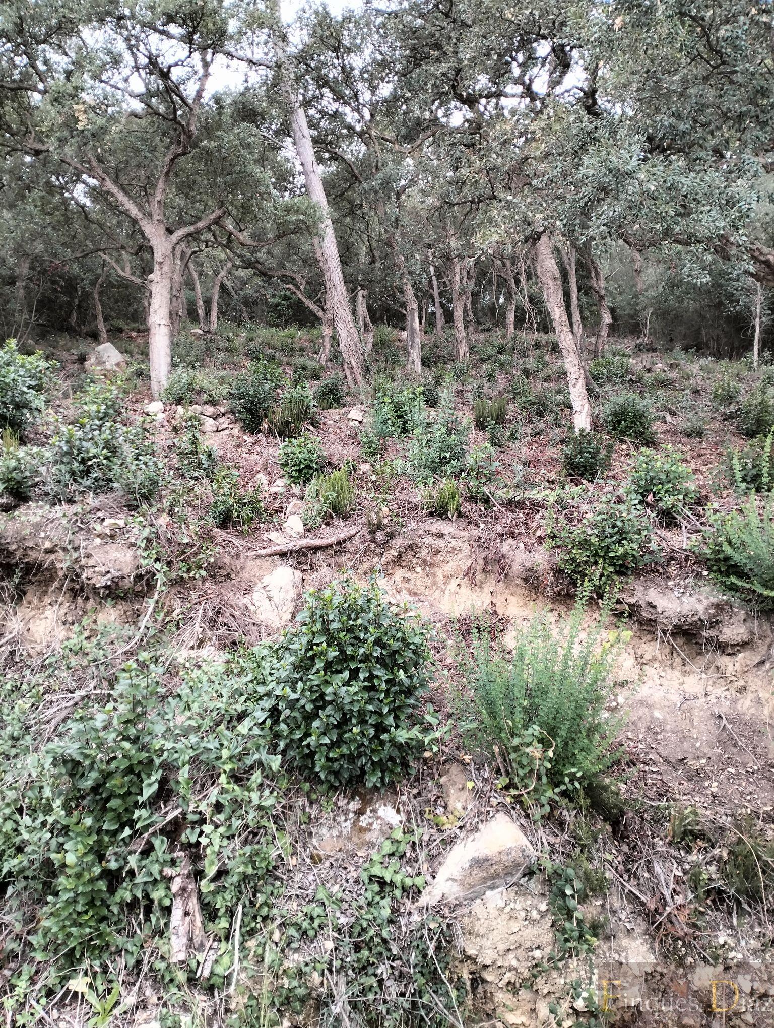 Venta de terreno en Palafolls