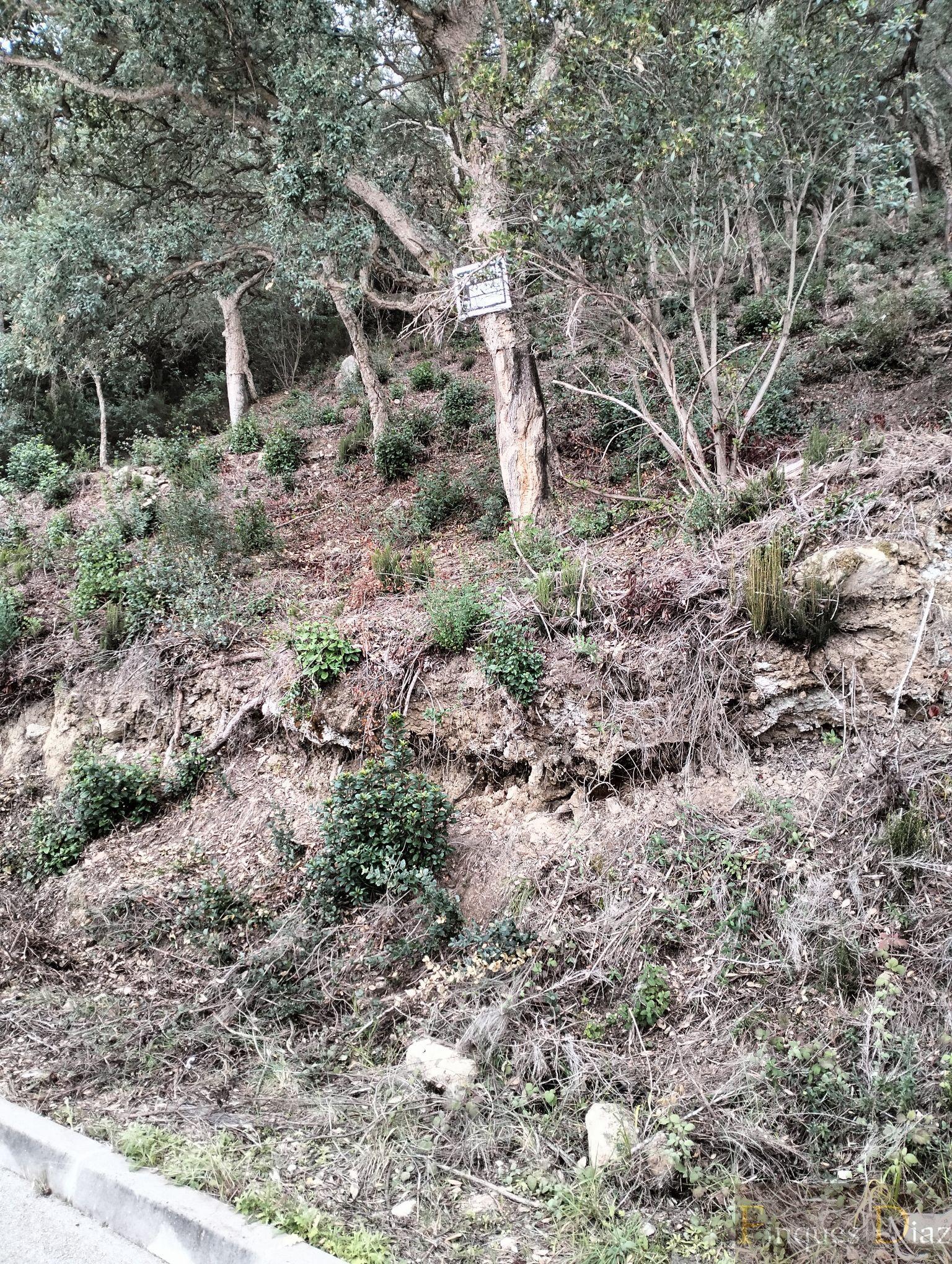Venta de terreno en Palafolls