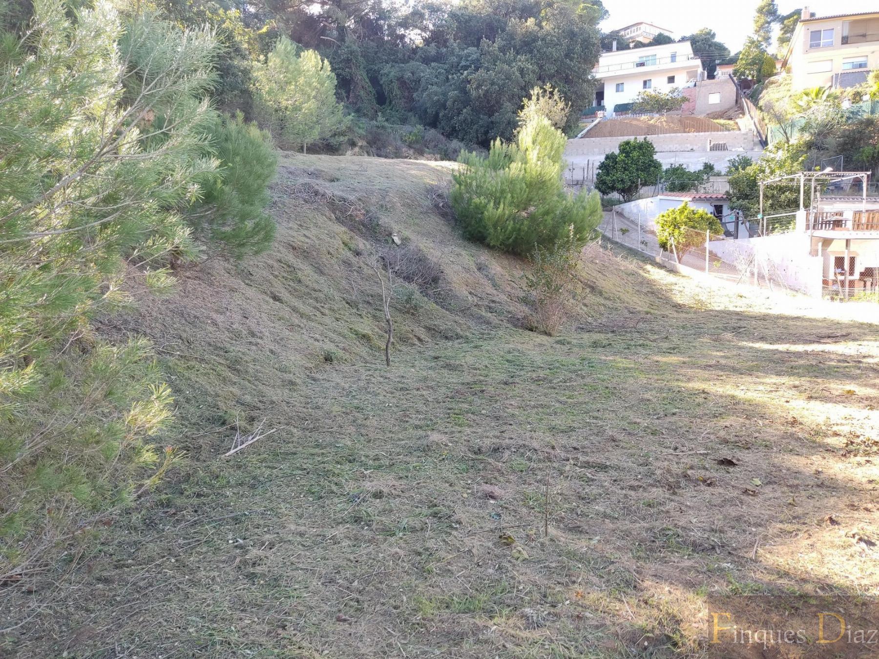 For sale of land in Palafolls