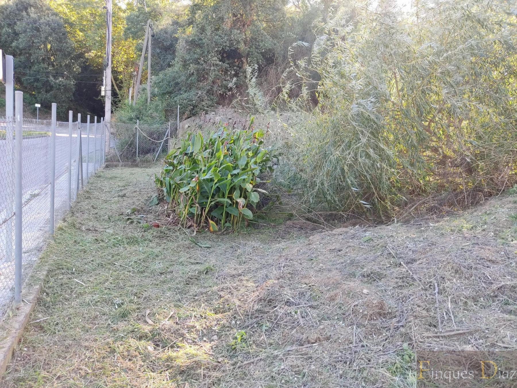 For sale of land in Palafolls