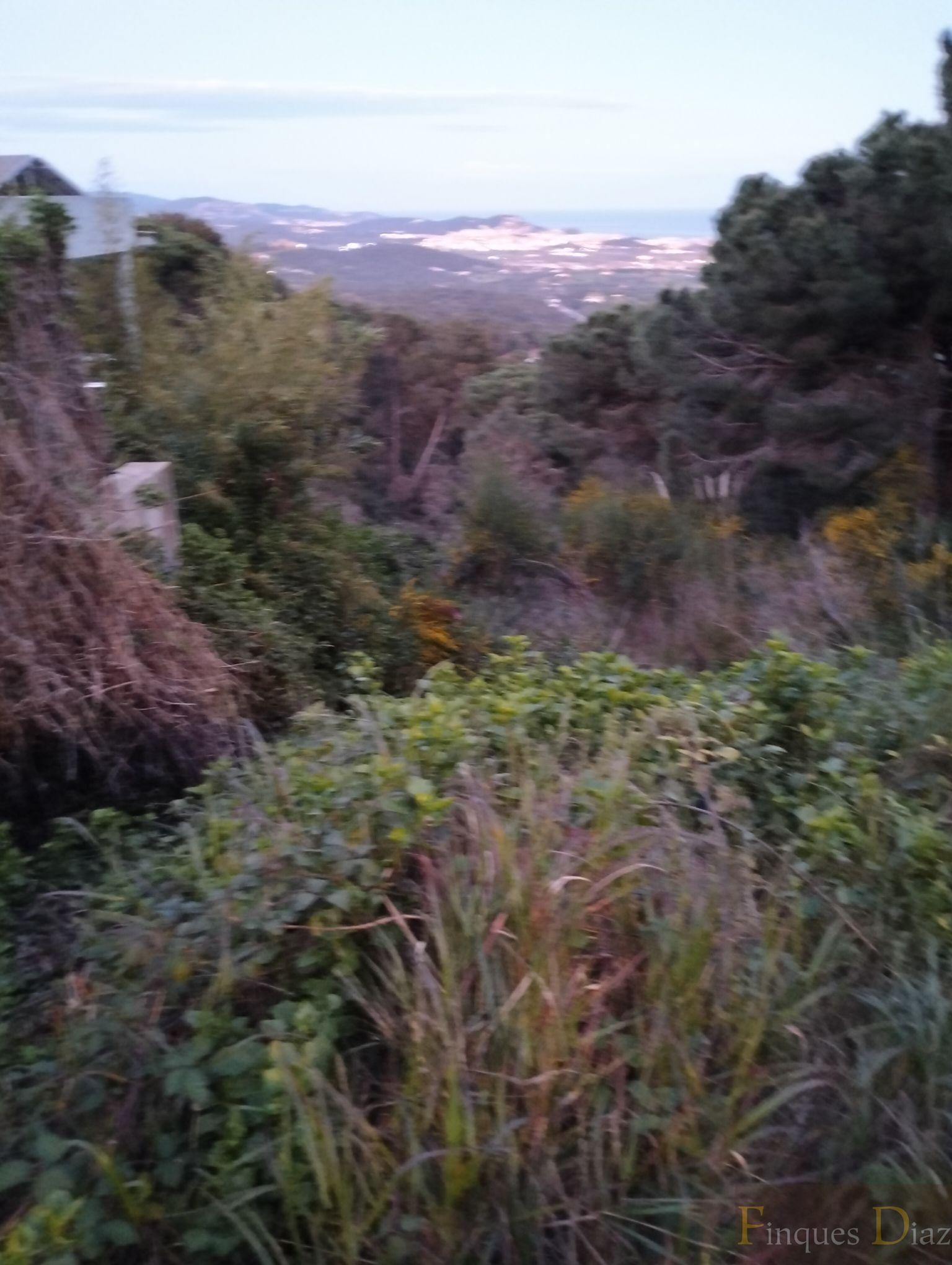 For sale of land in Palafolls