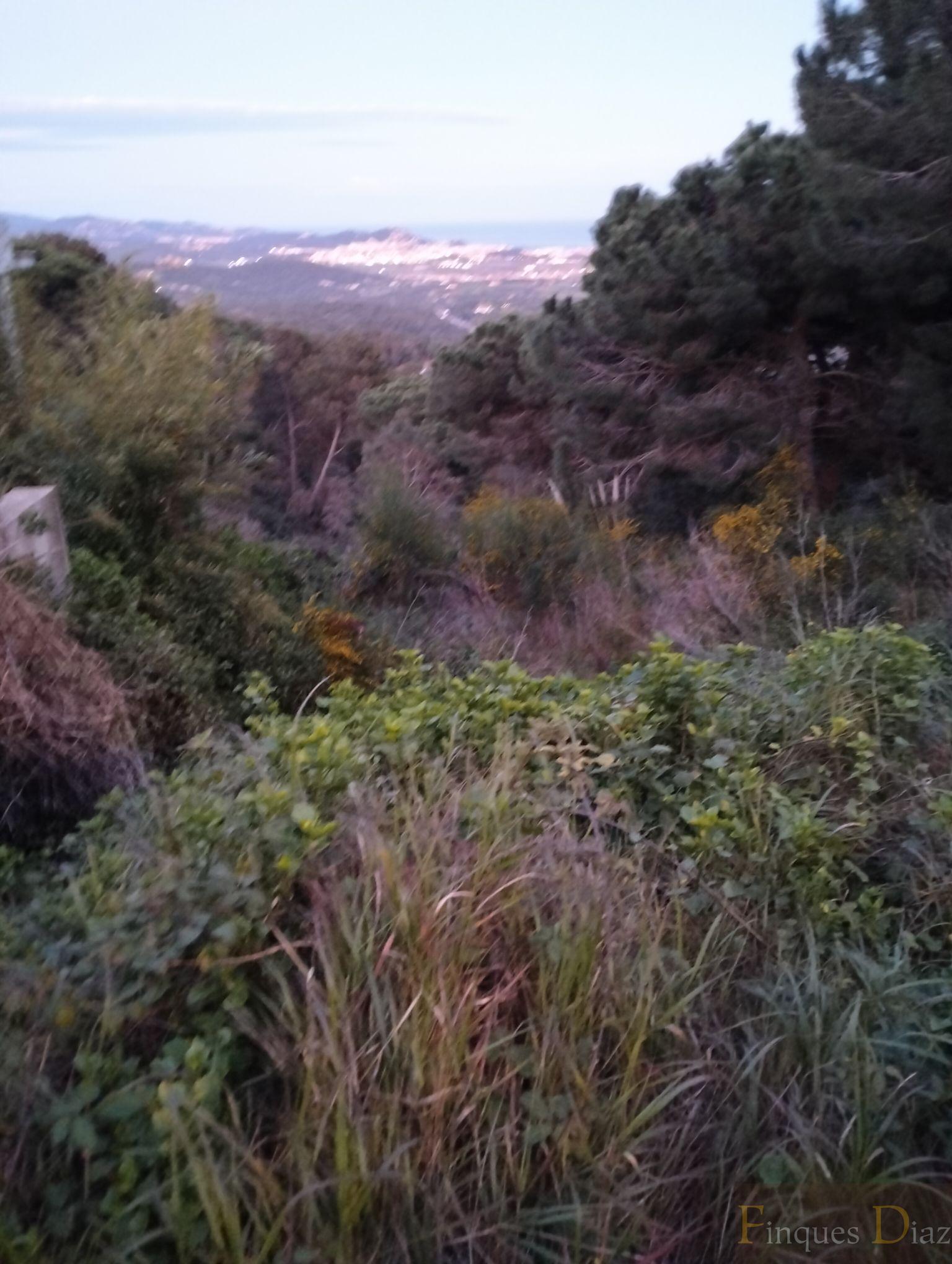 For sale of land in Palafolls