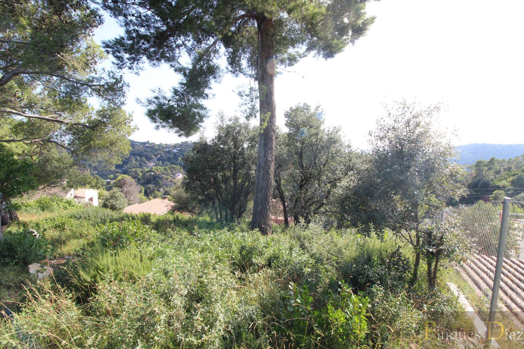 For sale of land in Palafolls