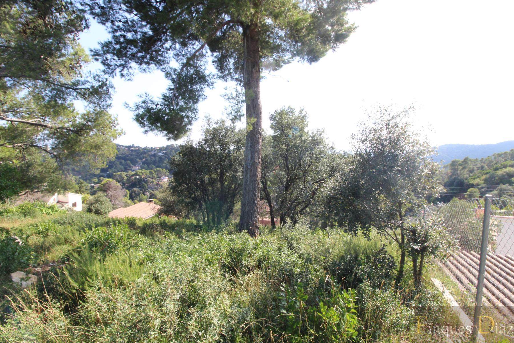 For sale of land in Palafolls