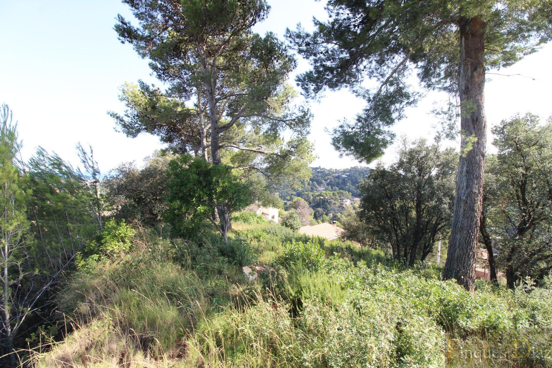 For sale of land in Palafolls
