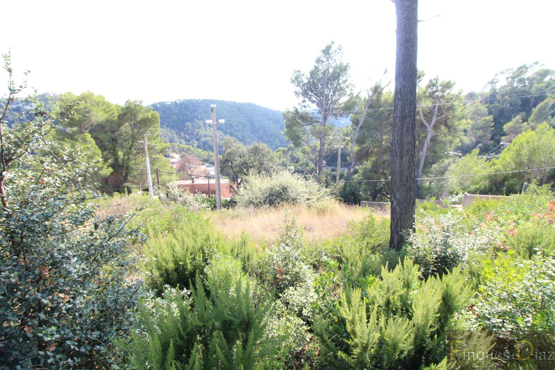 For sale of land in Palafolls