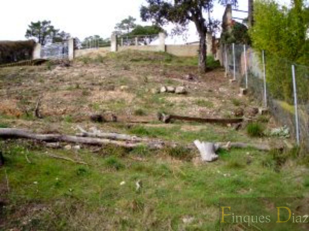 Venta de terreno en Maçanet de la Selva