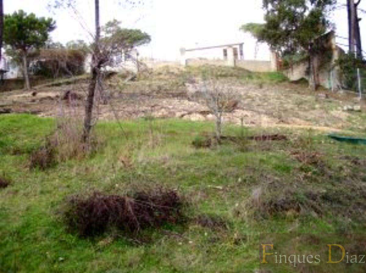 Venta de terreno en Maçanet de la Selva