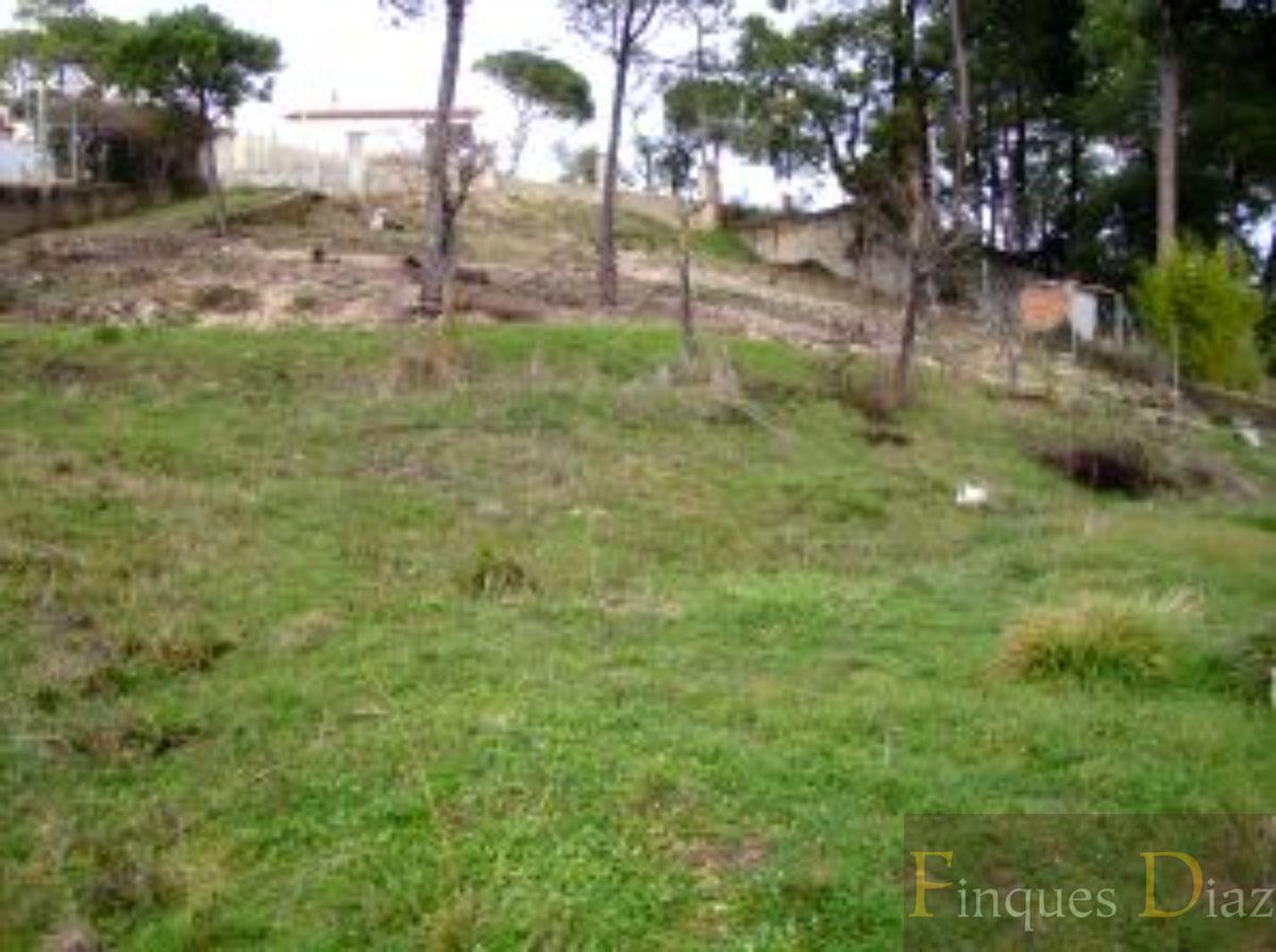 For sale of land in Maçanet de la Selva