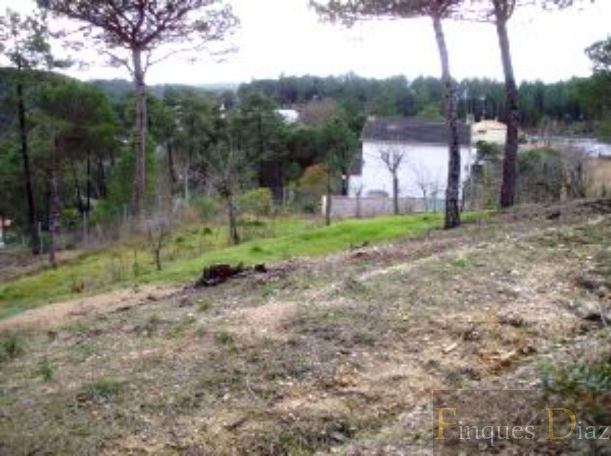 For sale of land in Maçanet de la Selva