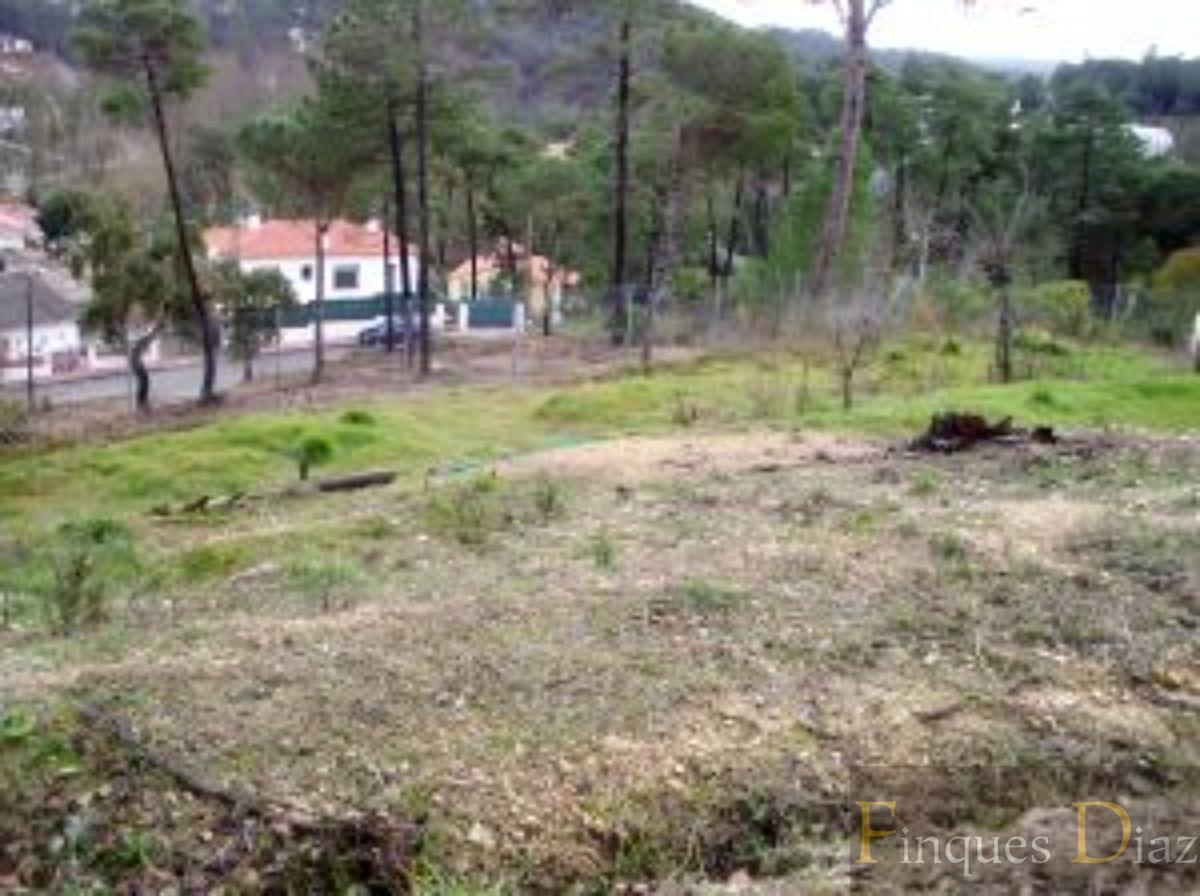 For sale of land in Maçanet de la Selva