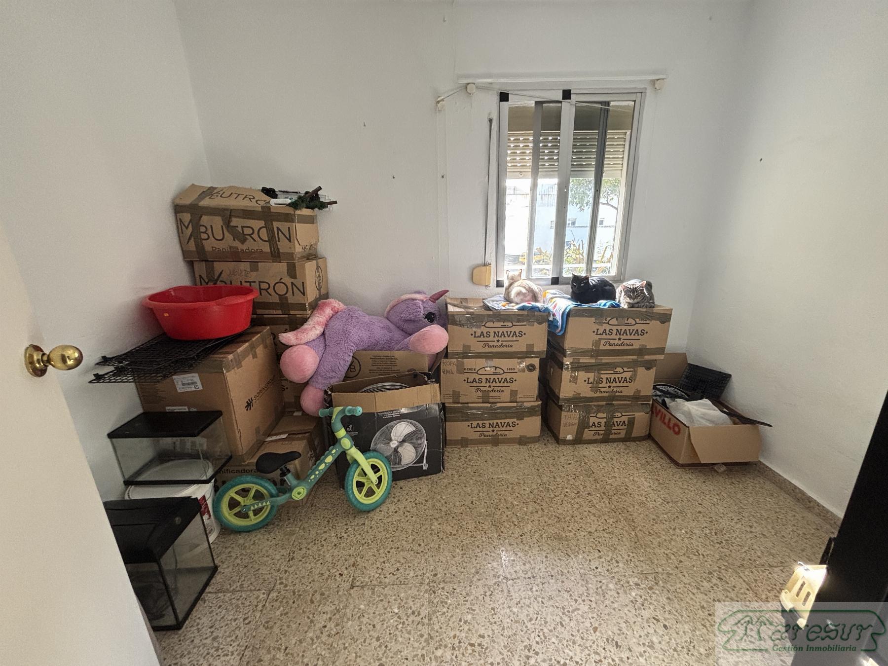 For sale of flat in San Fernando