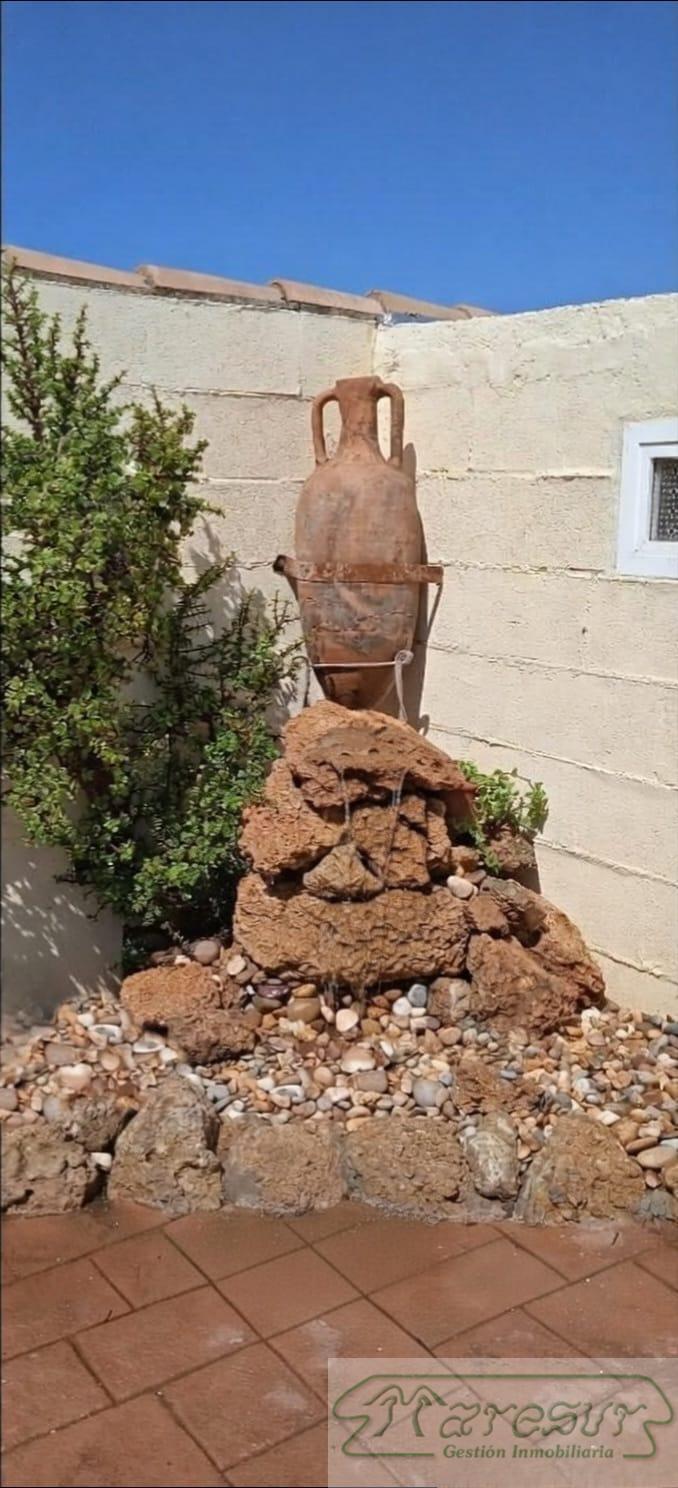 Venta de finca rústica en Chiclana de la Frontera