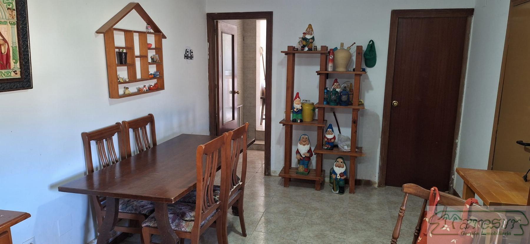 Venta de finca rústica en Chiclana de la Frontera