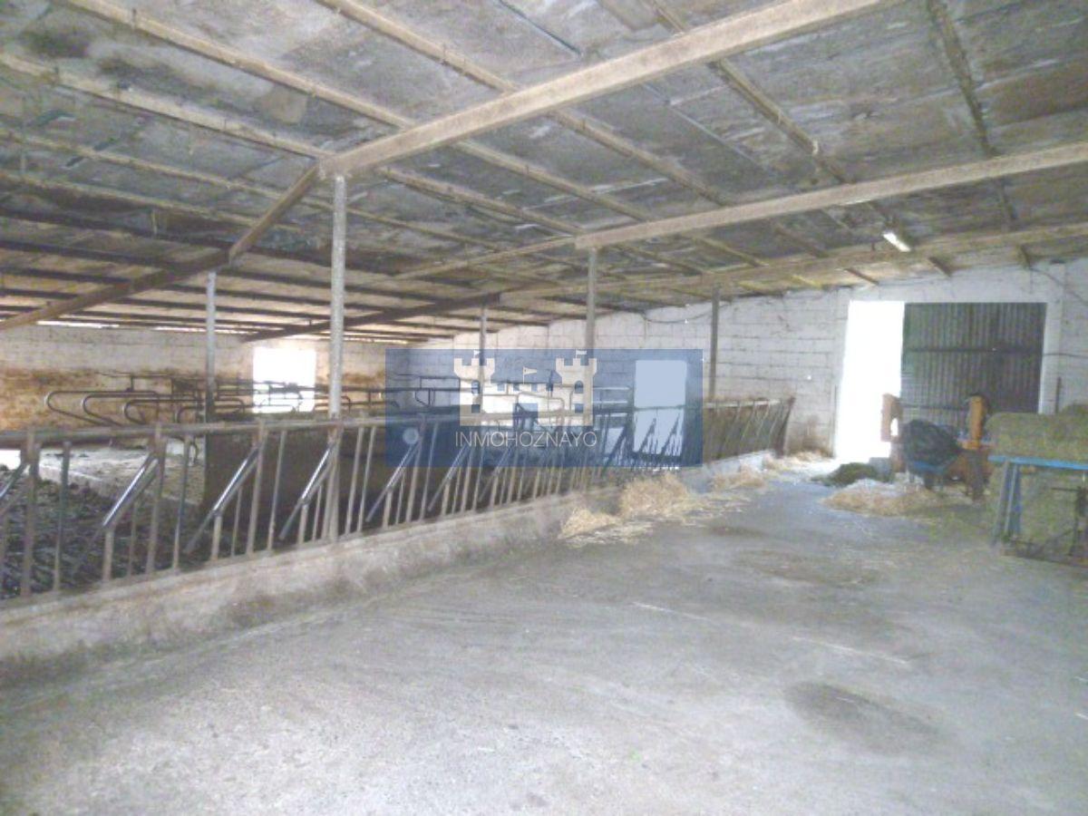 For sale of industrial plant/warehouse in Solórzano