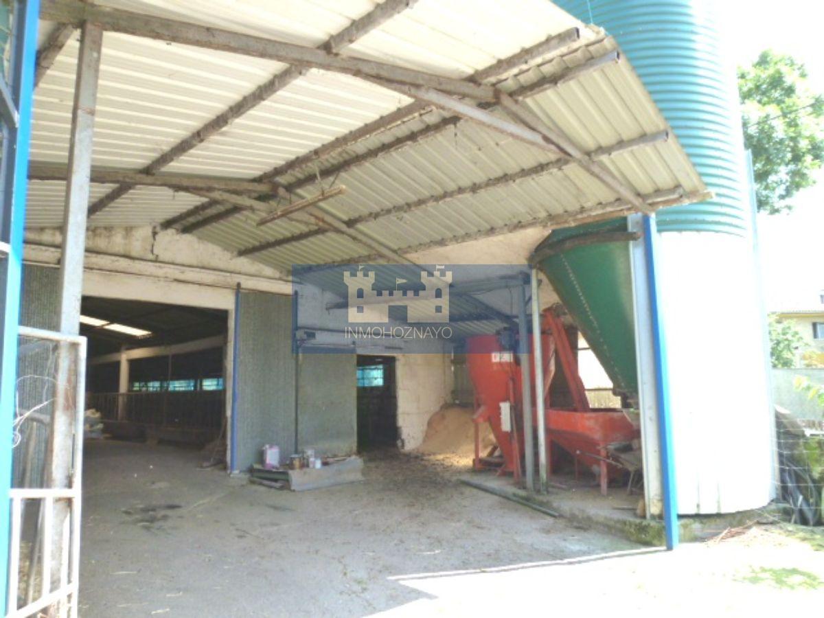 For sale of industrial plant/warehouse in Solórzano