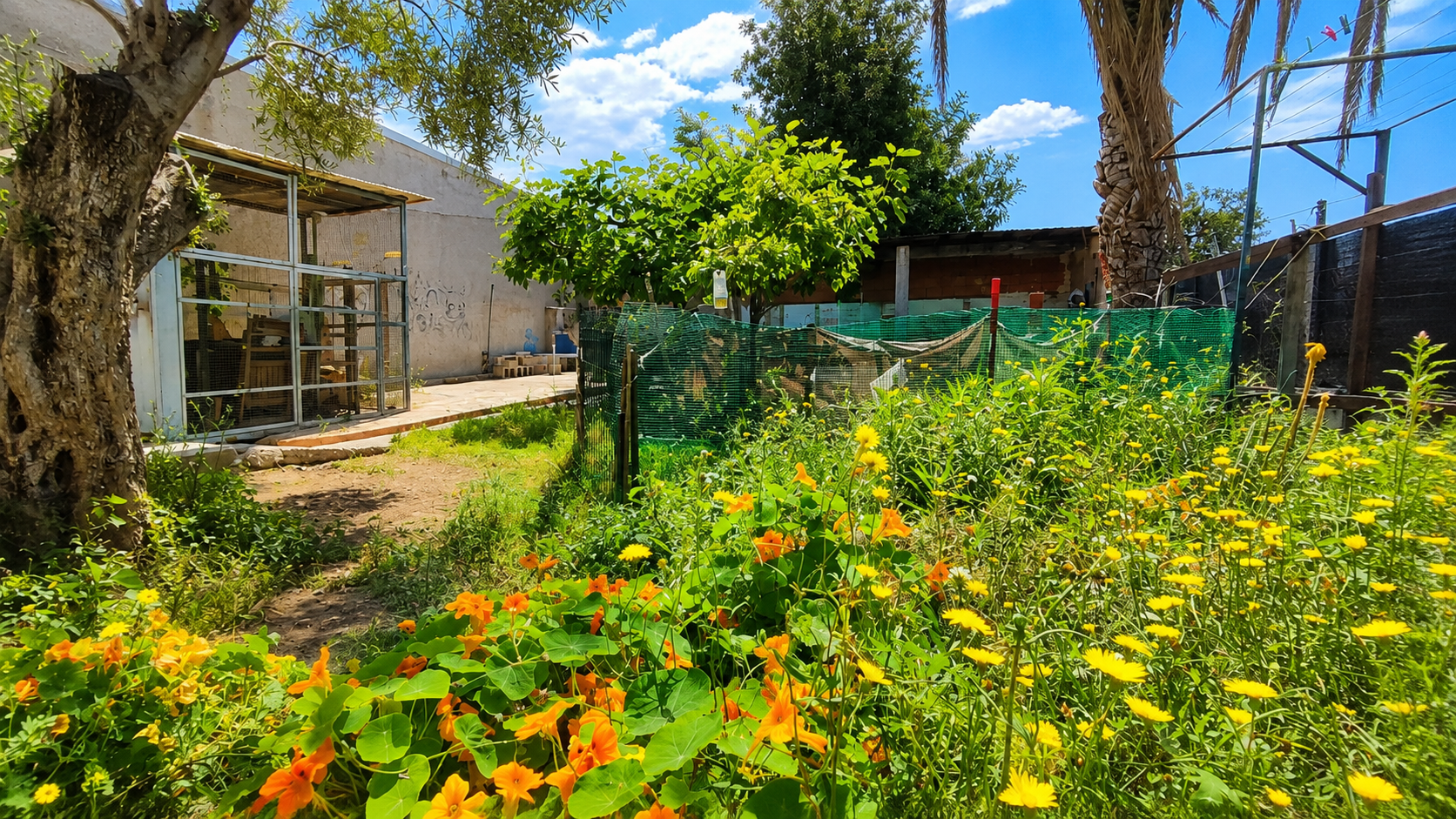 Venta de casa en El Campello
