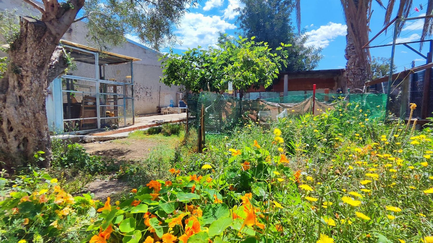 Venta de casa en El Campello