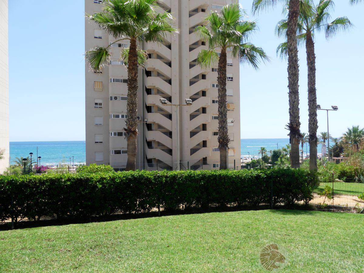 For rent of flat in El Campello