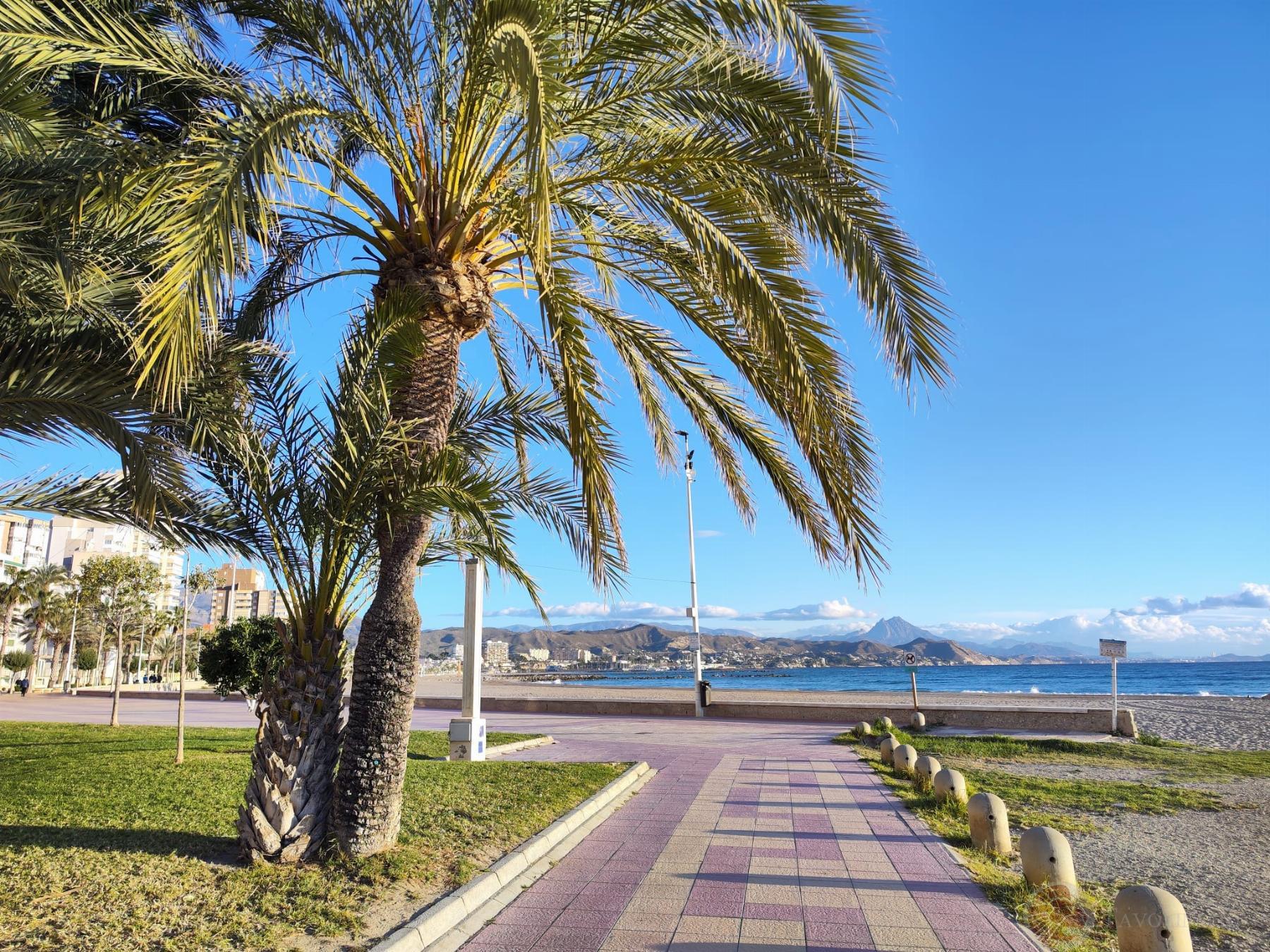 For sale of flat in El Campello