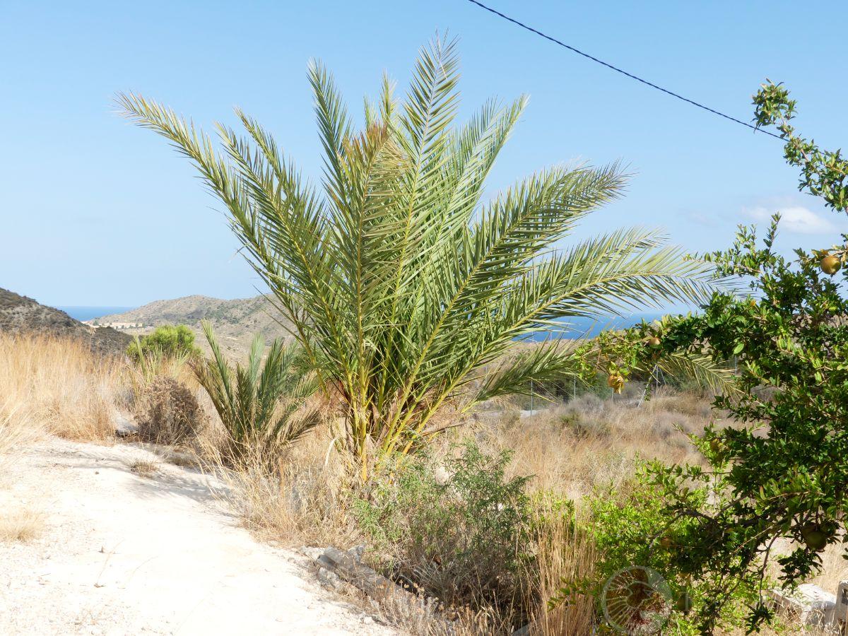 Venta de casa en El Campello