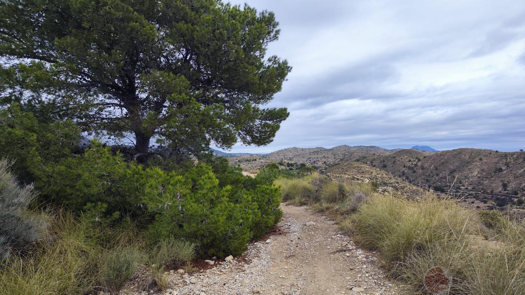 Venta de casa en El Campello