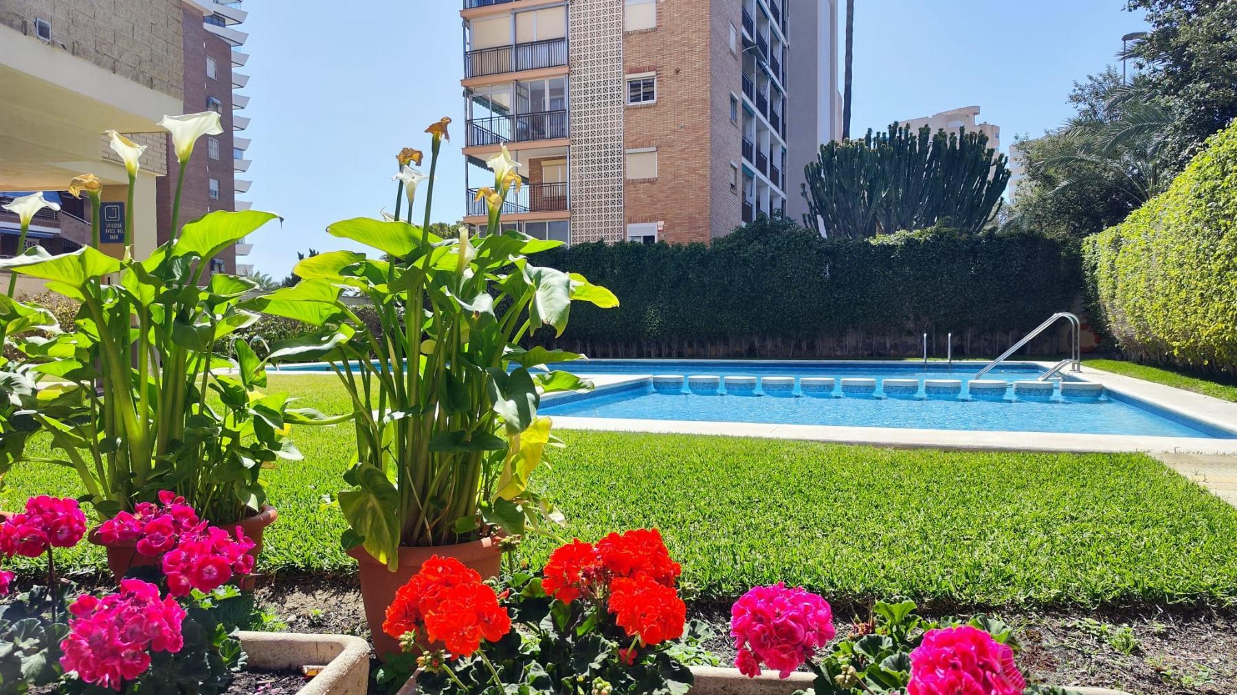 Zu verkaufen von penthouse in
 Alicante