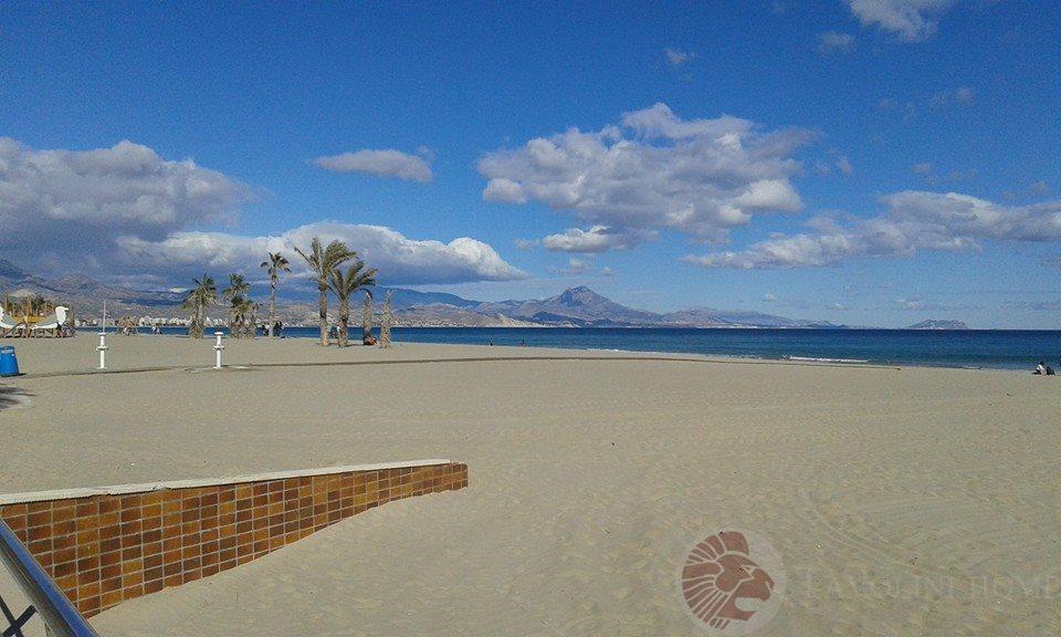 Zu verkaufen von penthouse in
 Alicante