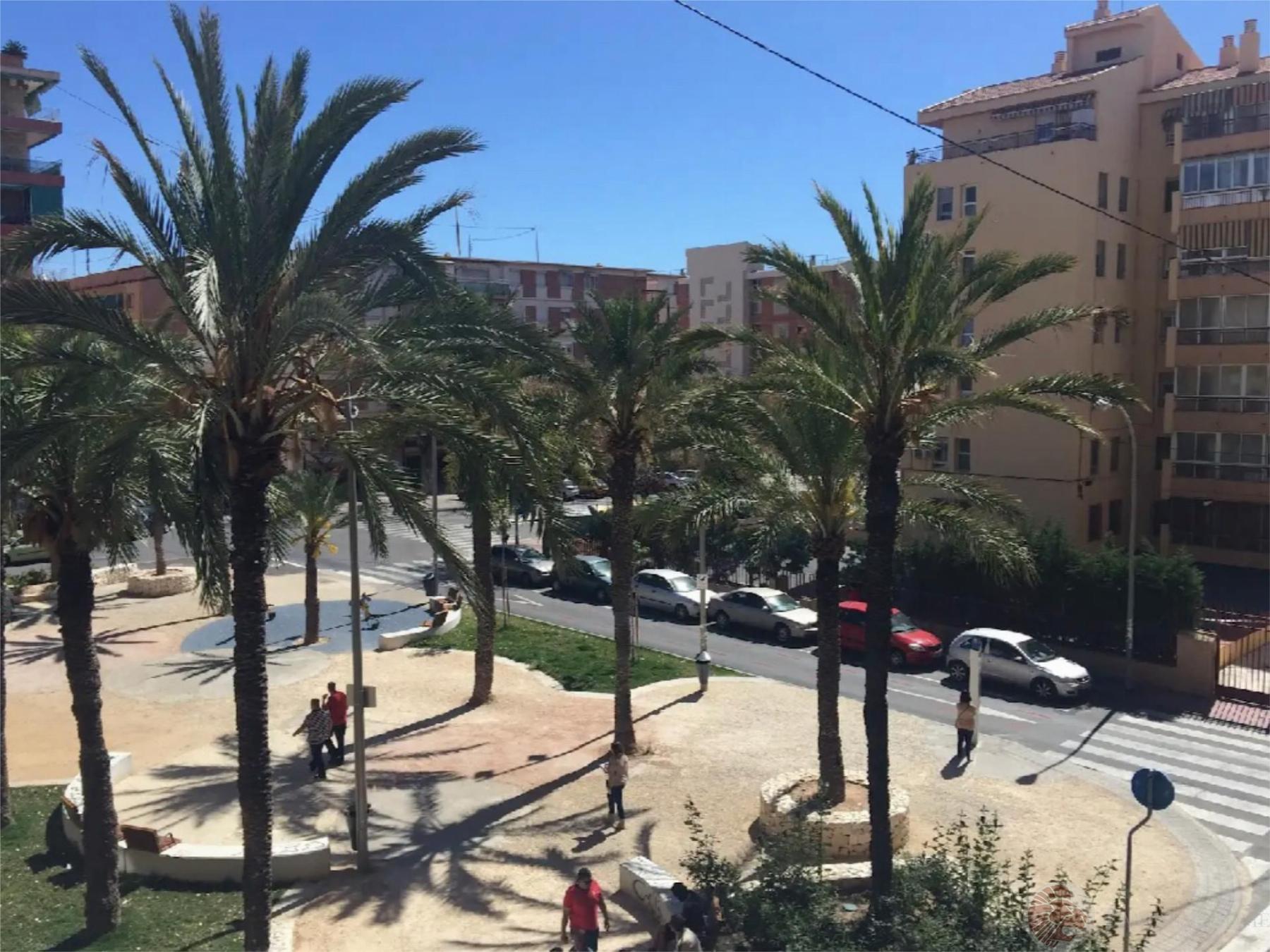 For rent of flat in Alicante