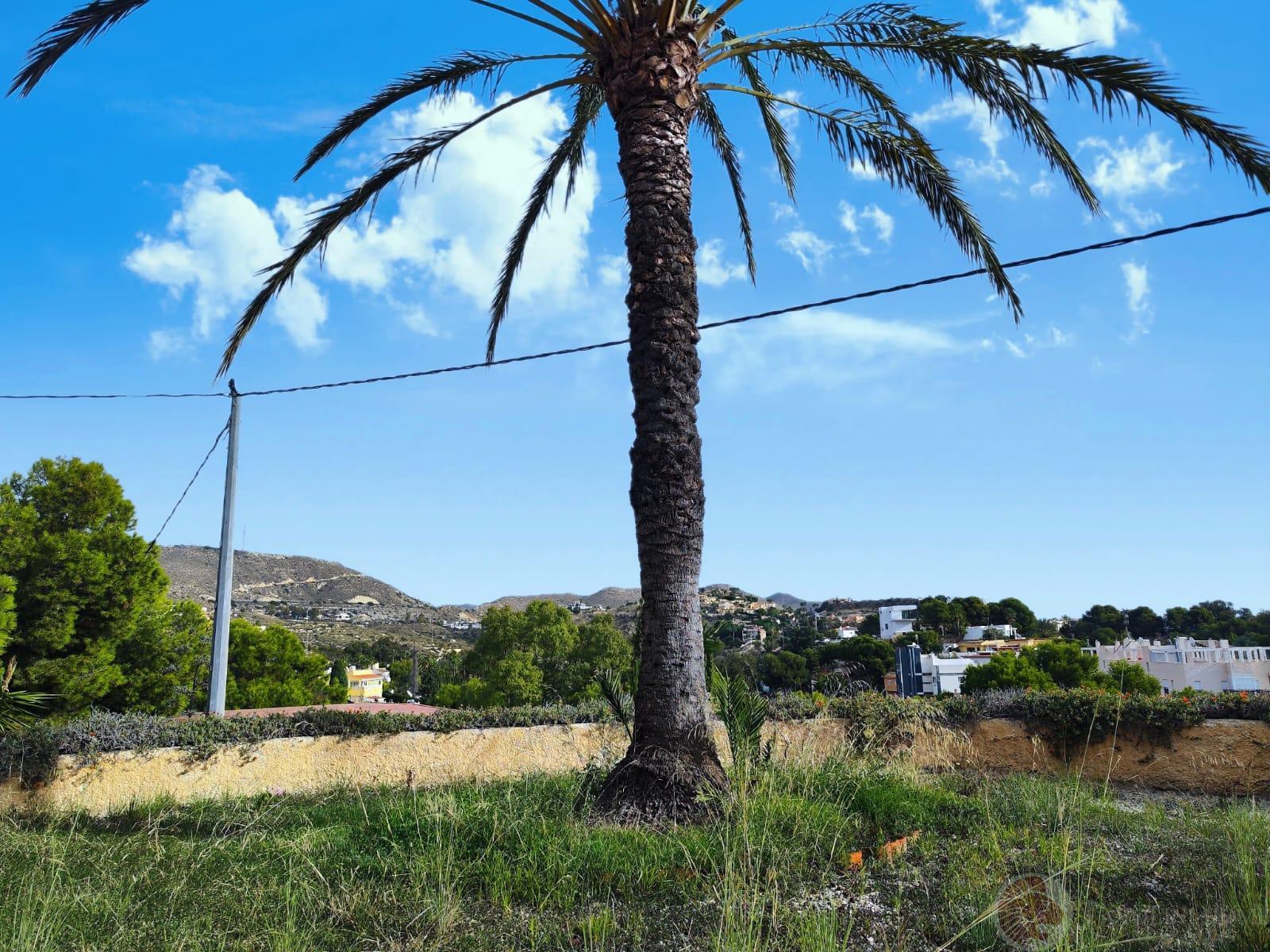 For sale of chalet in El Campello