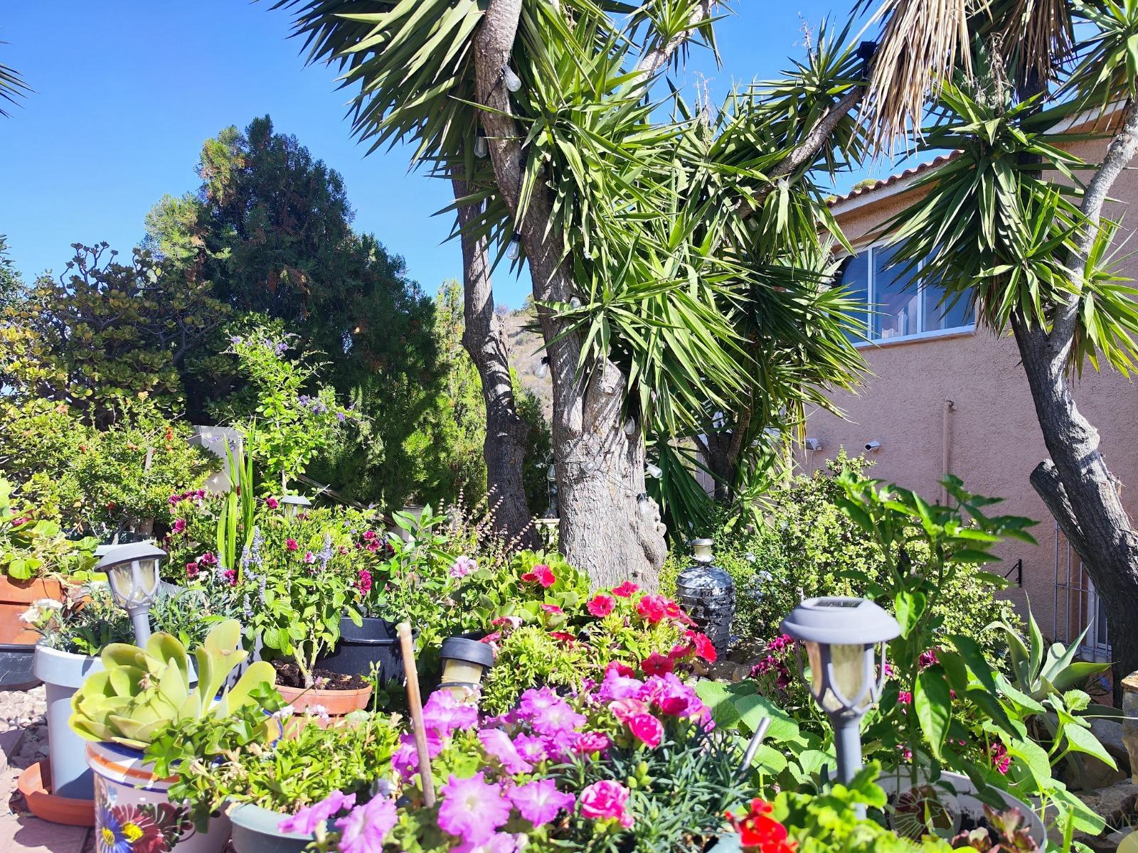 Zu verkaufen von haus in
 El Campello