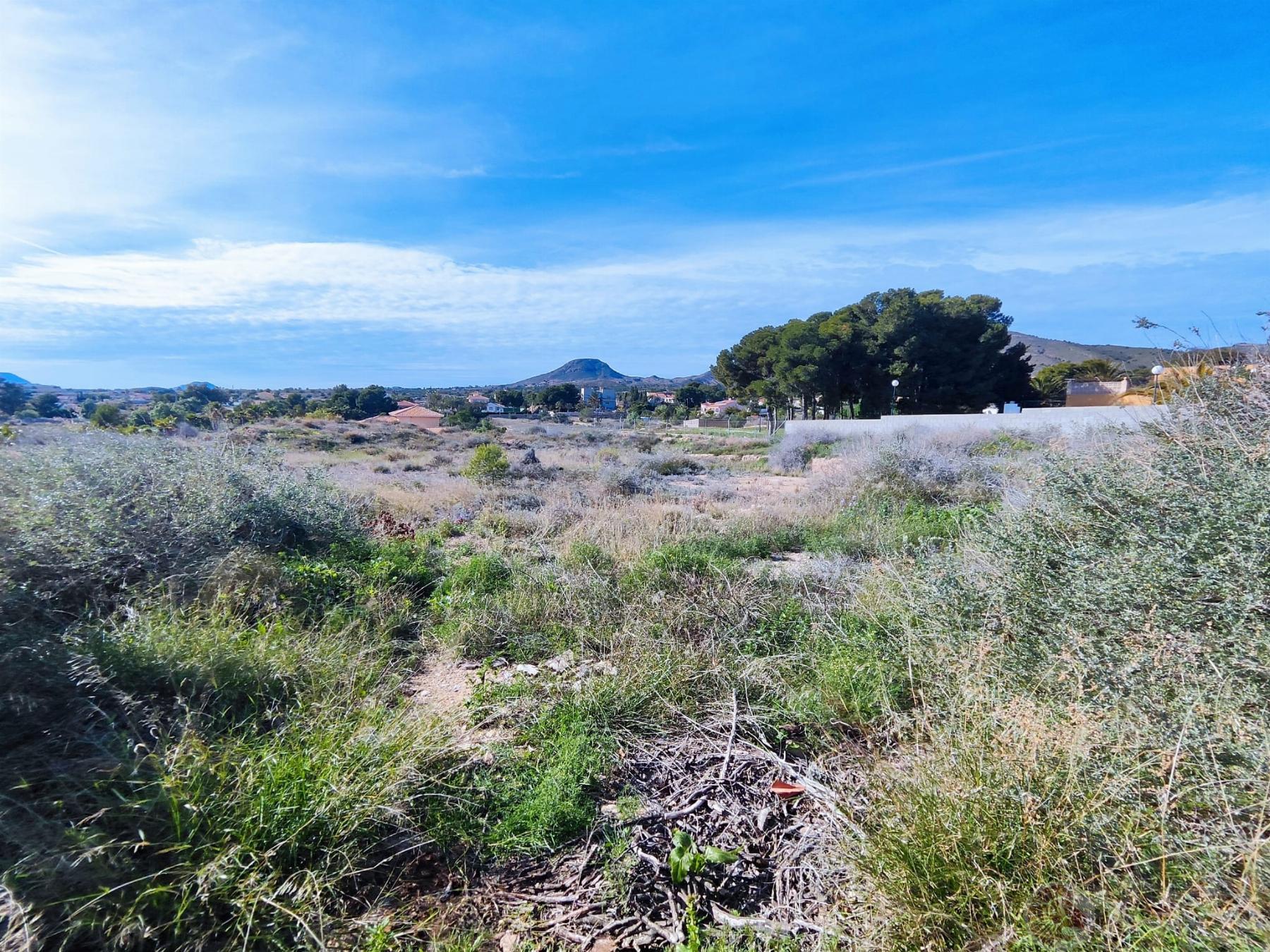 For sale of land in Alicante