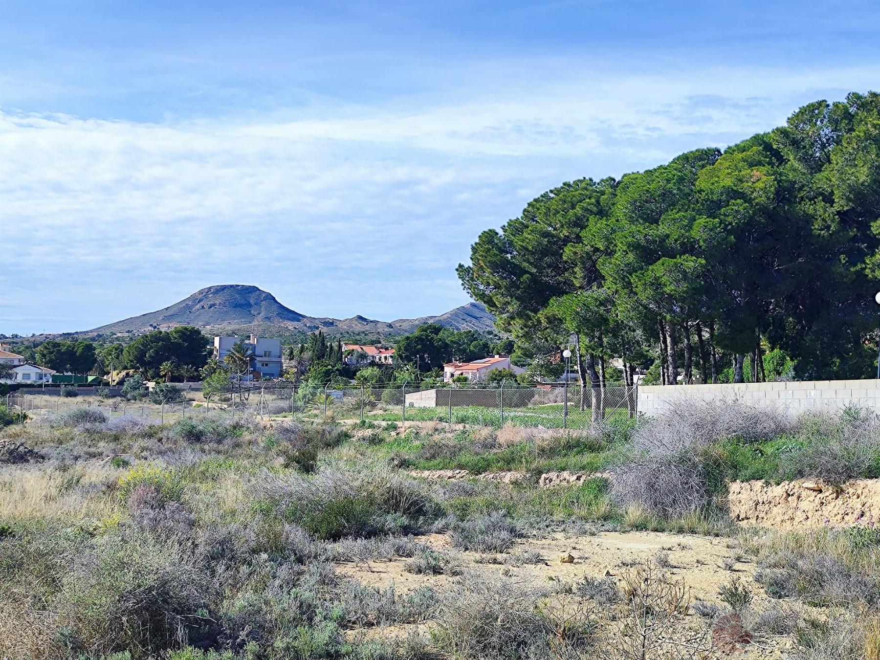 For sale of land in Alicante