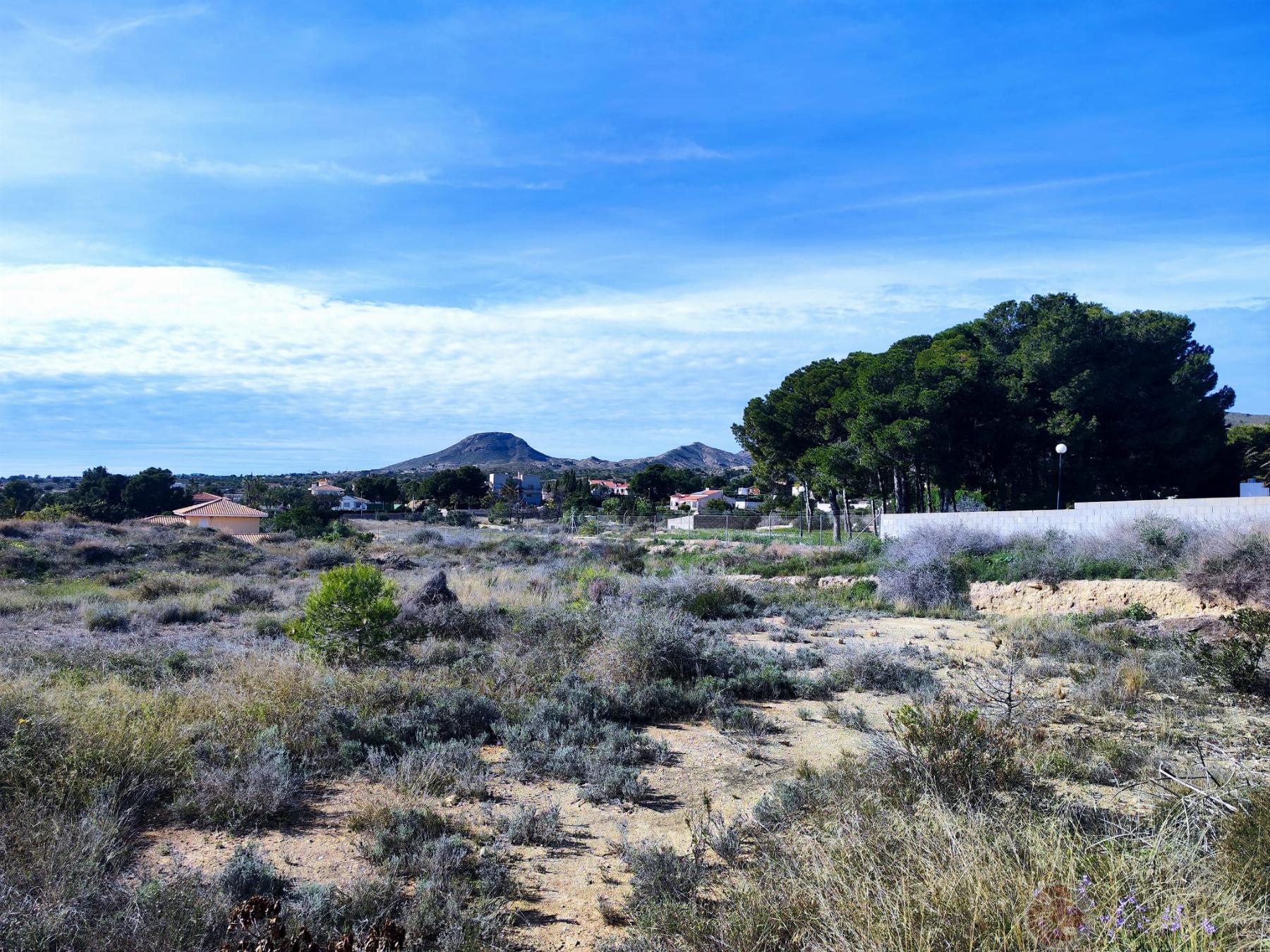 For sale of land in Alicante
