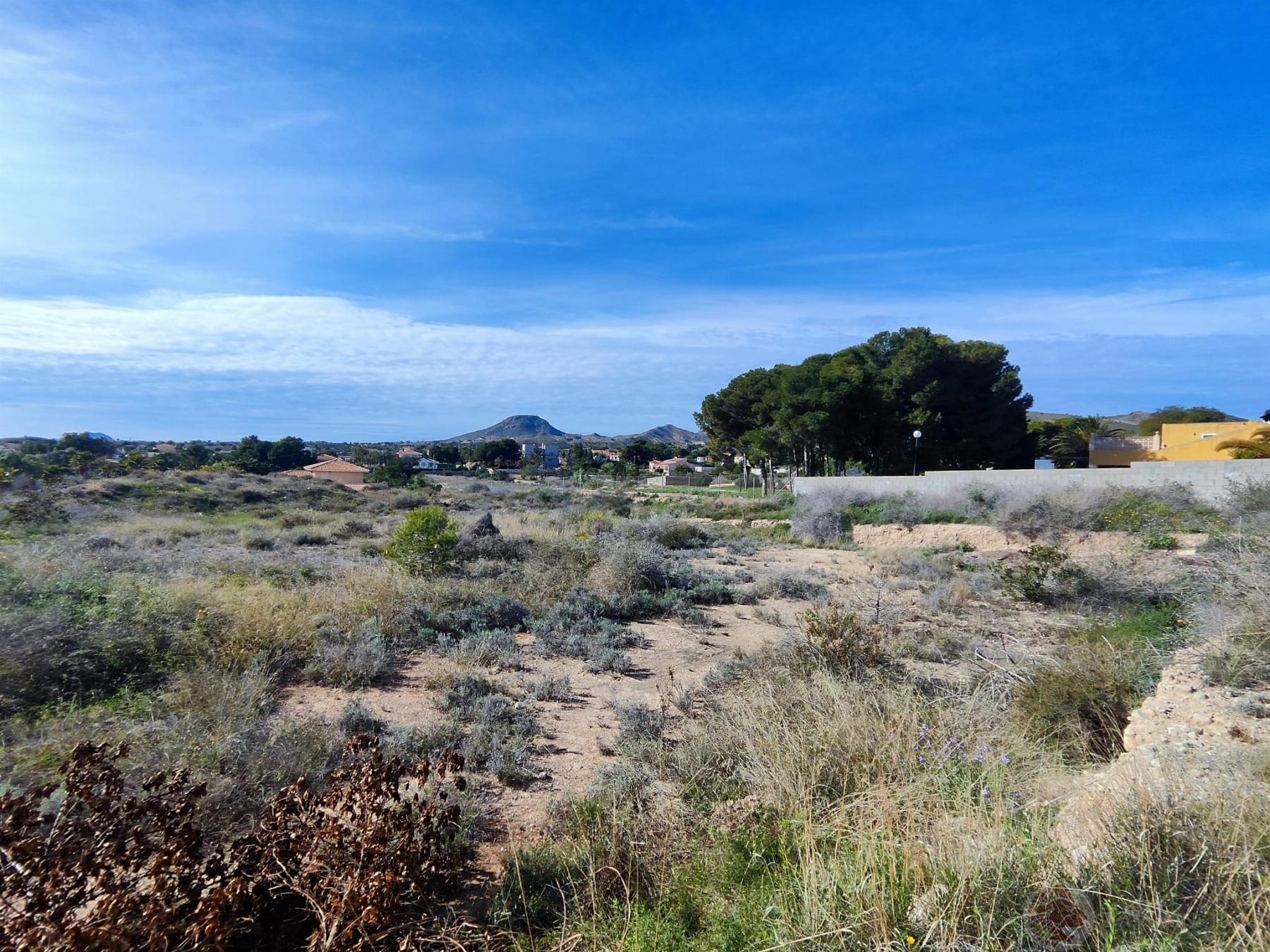 For sale of land in Alicante