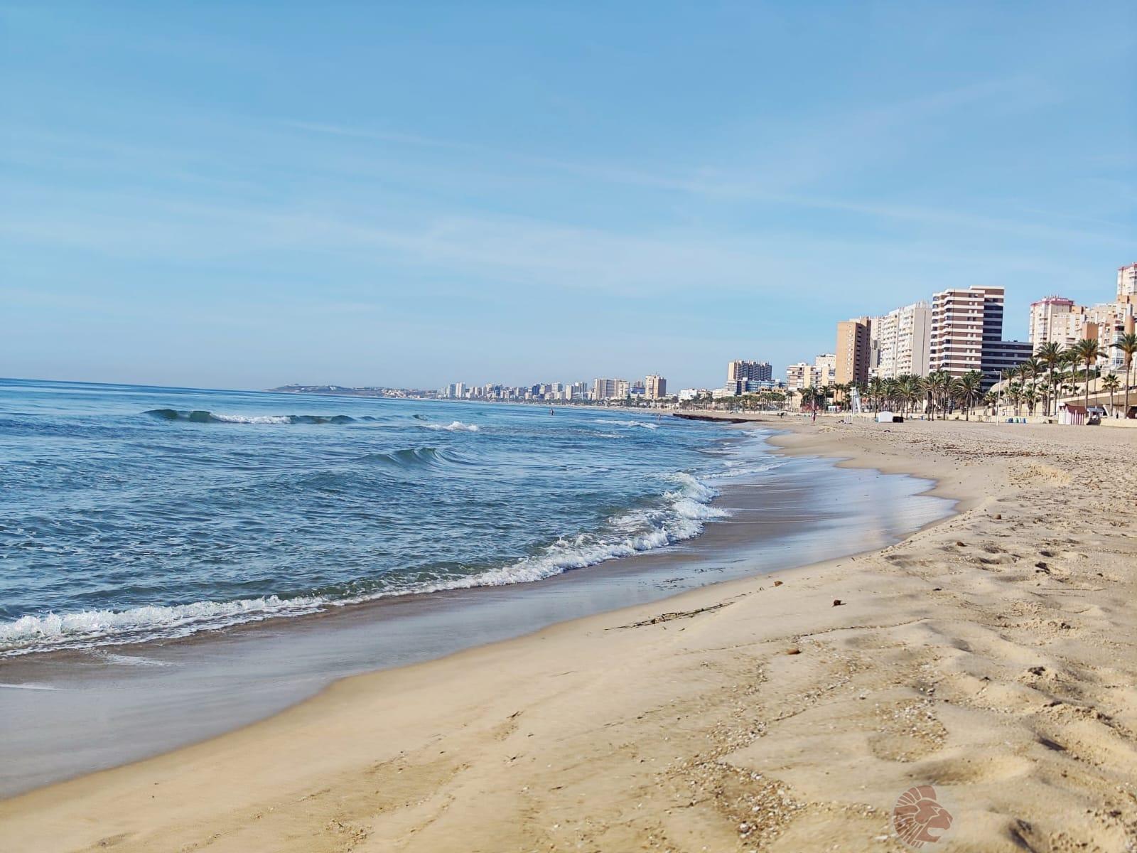 Miete von appartement in
 El Campello