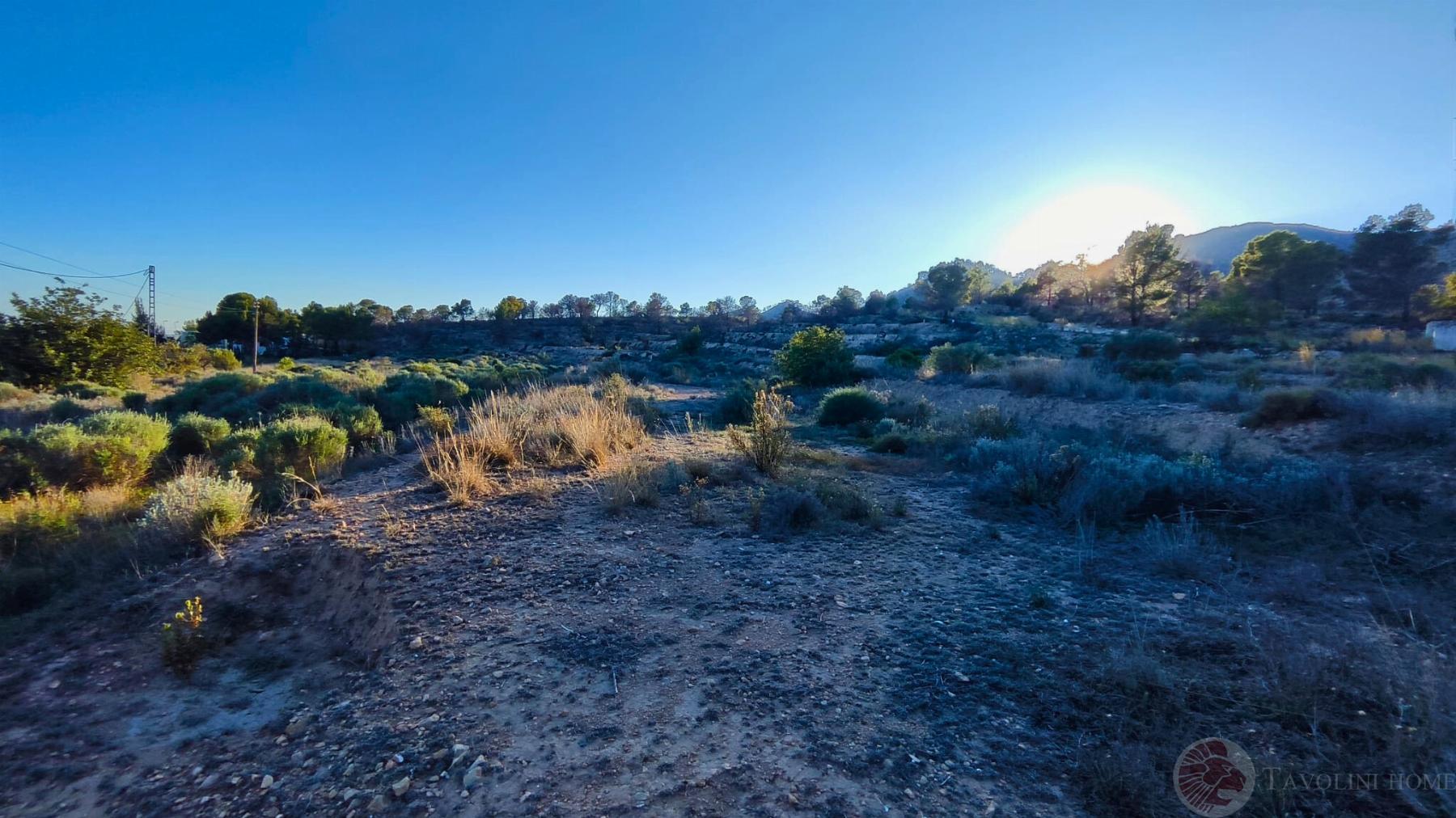 For sale of land in Aguas de Busot