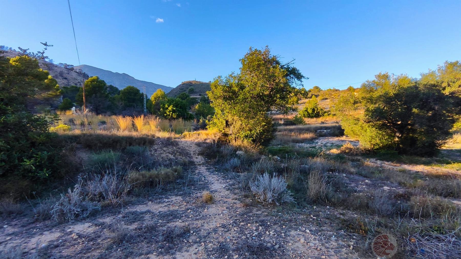 Venta de terreno en Aguas de Busot