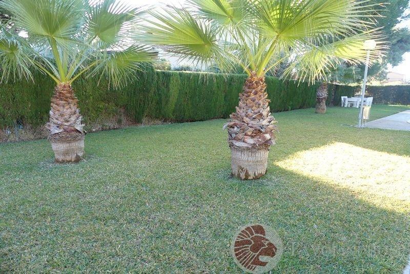 بيع من جناح صغير في El Campello
