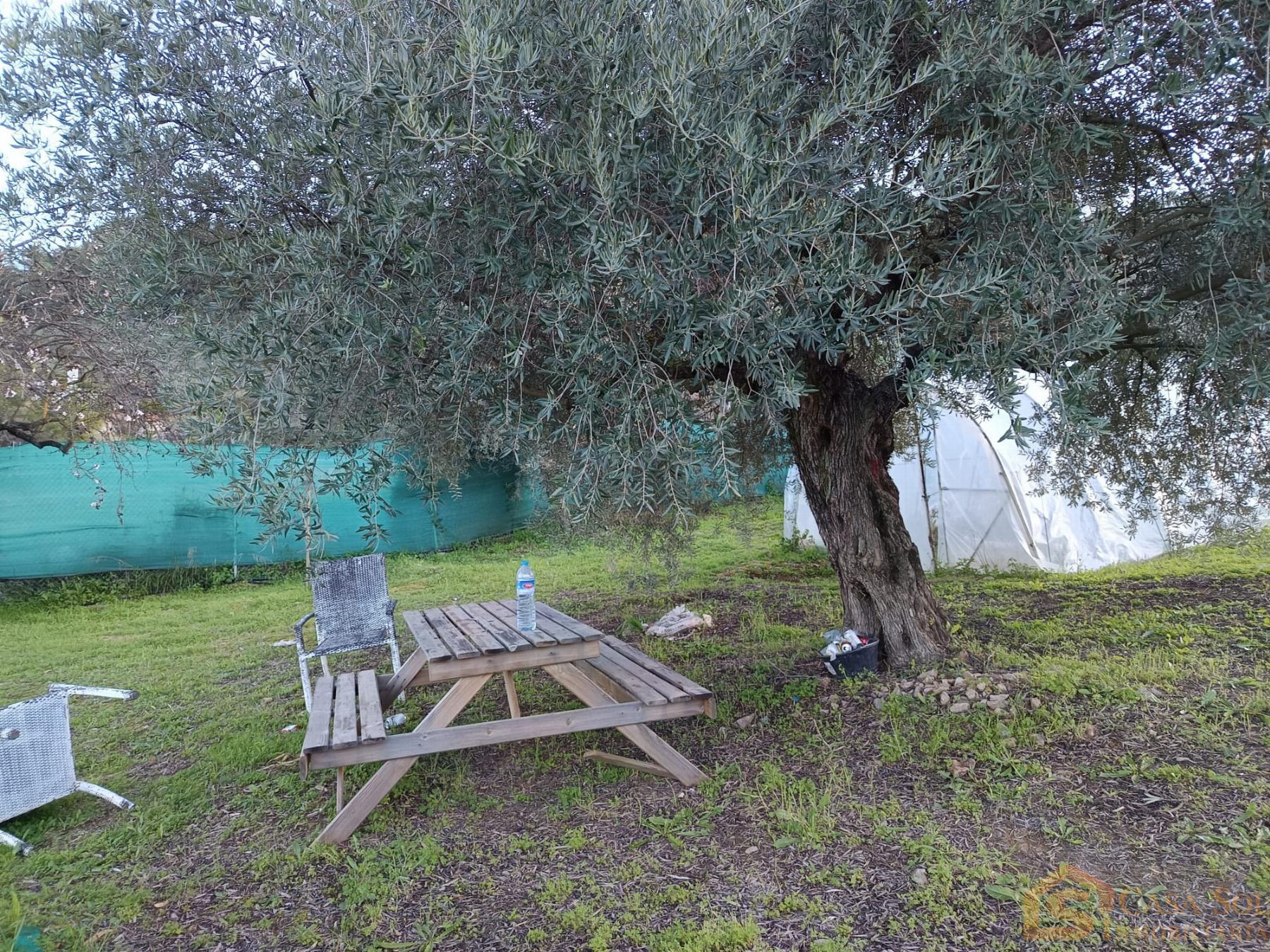 For sale of rural property in Guaro