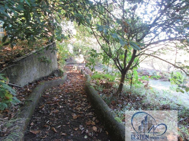 For sale of rural property in La Orotava