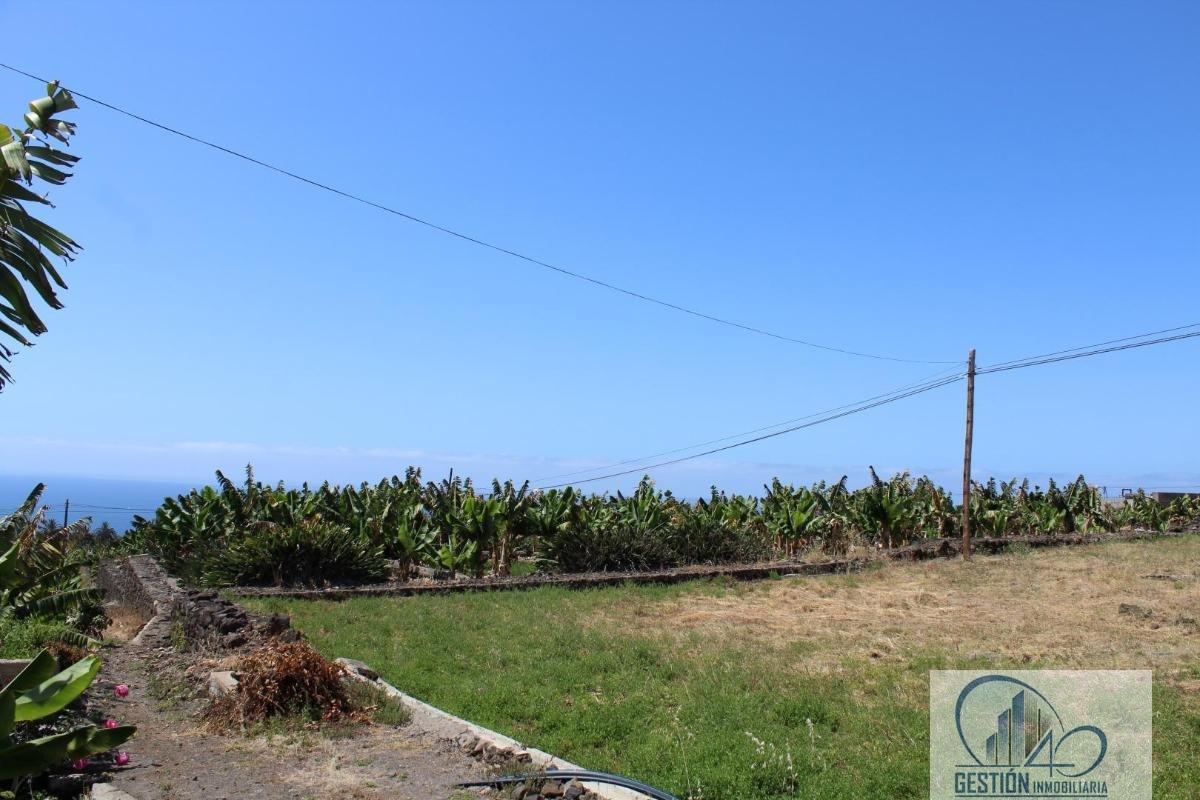 For sale of rural property in La Orotava