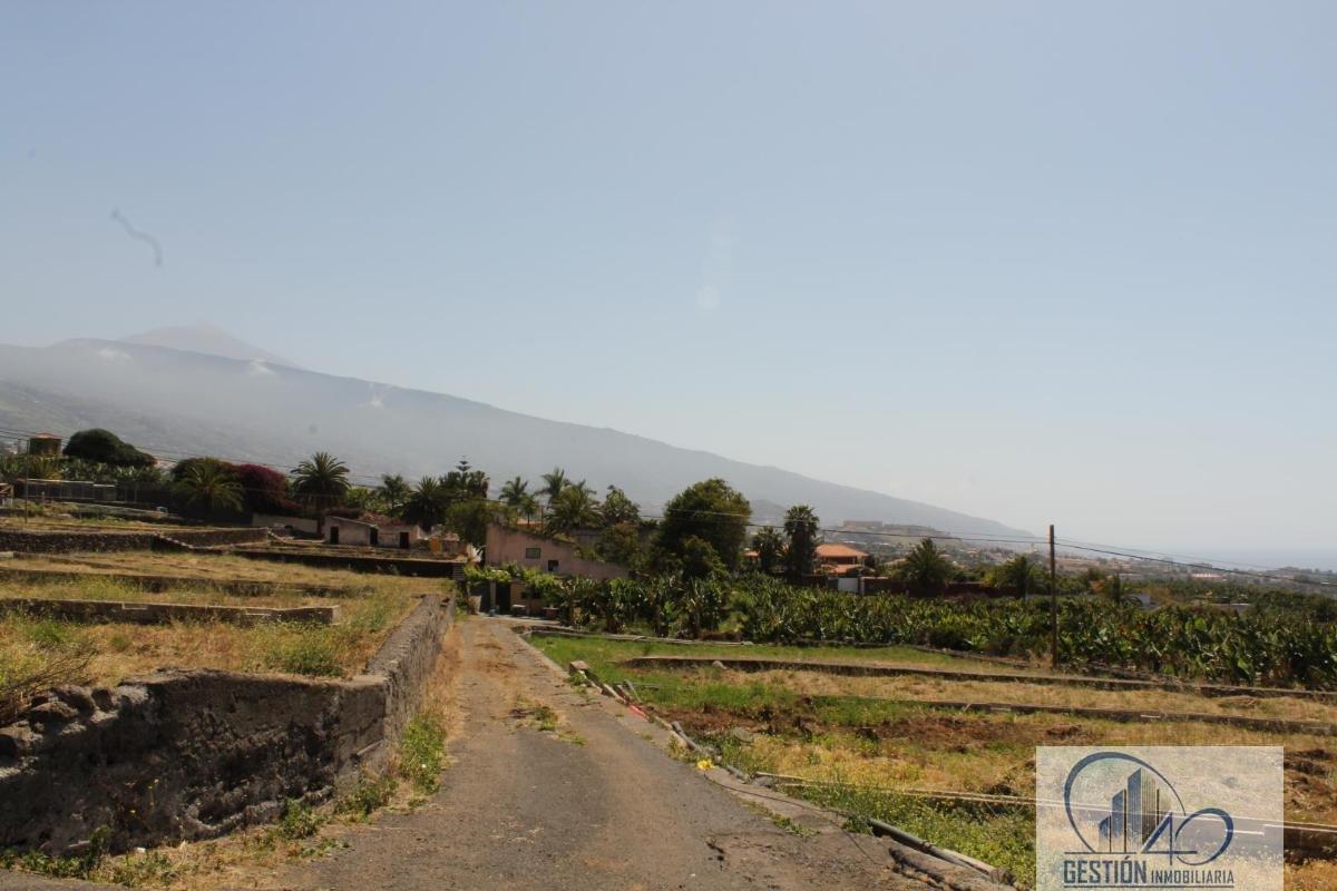 For sale of rural property in La Orotava