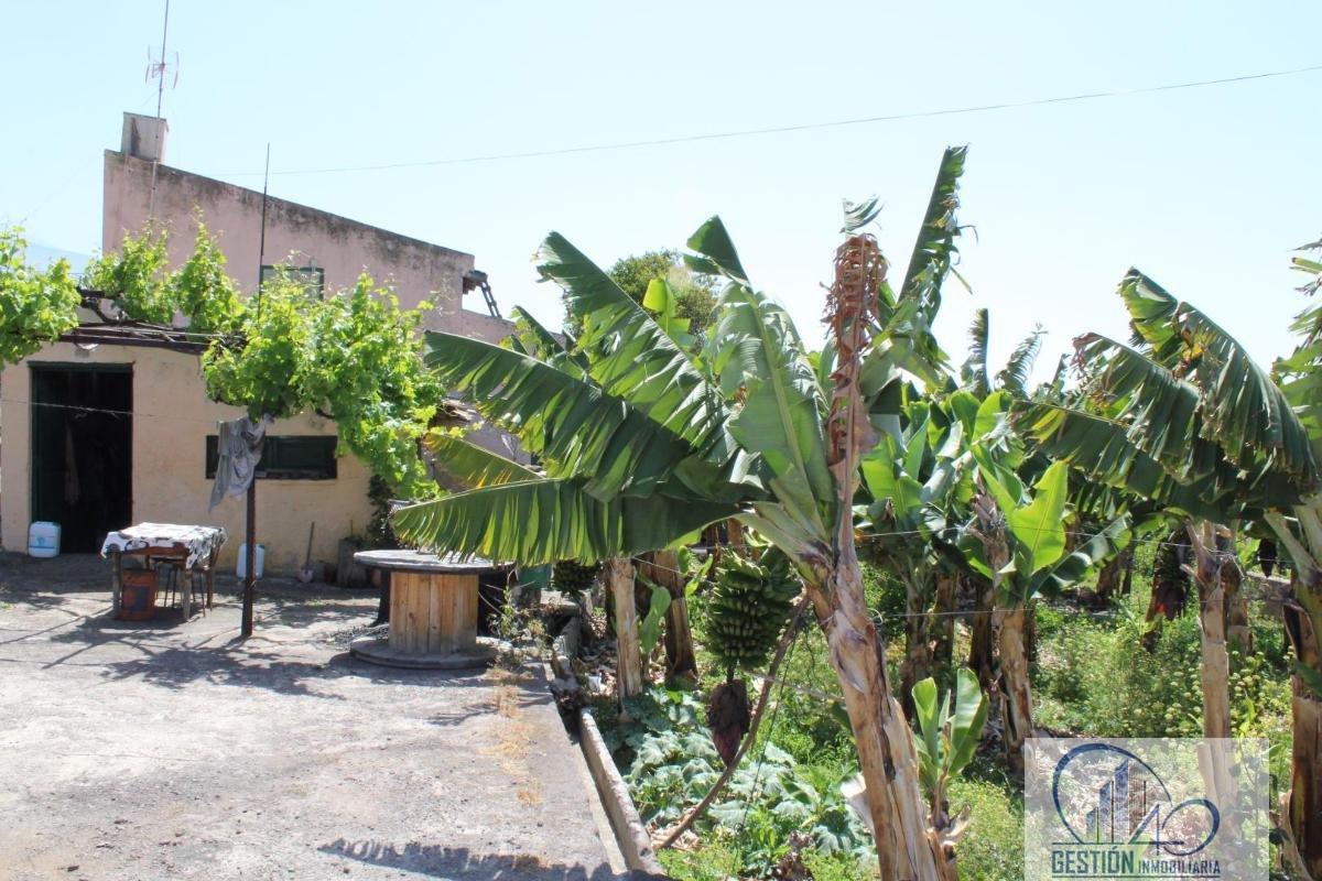 For sale of rural property in La Orotava