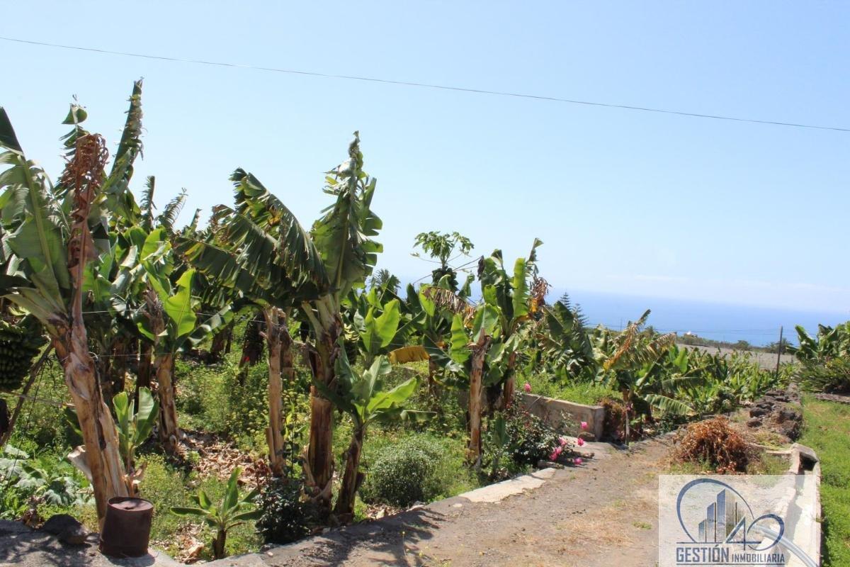 For sale of rural property in La Orotava