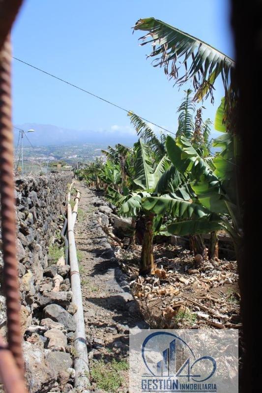 For sale of rural property in La Orotava