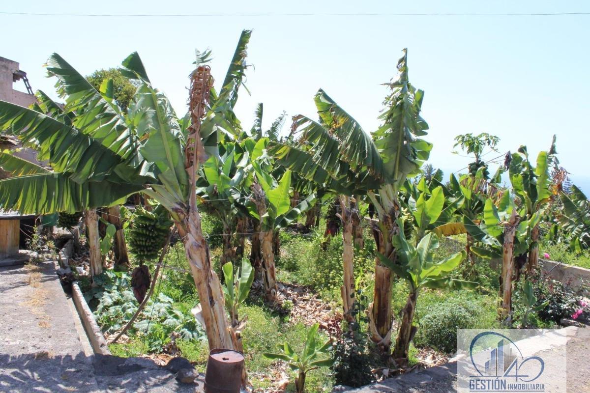 Venta de finca rústica en La Orotava